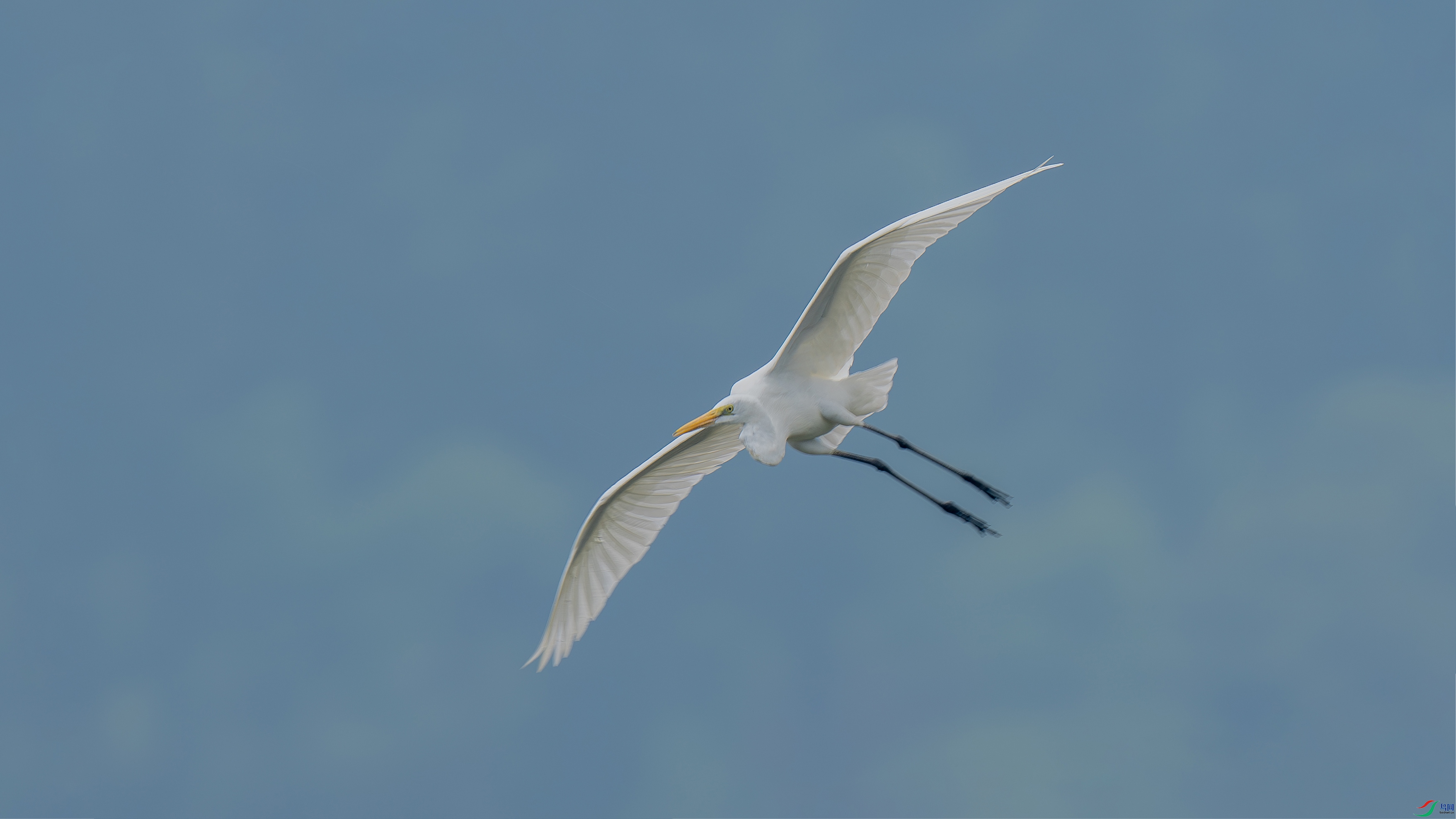 A006DSC03521-.jpg