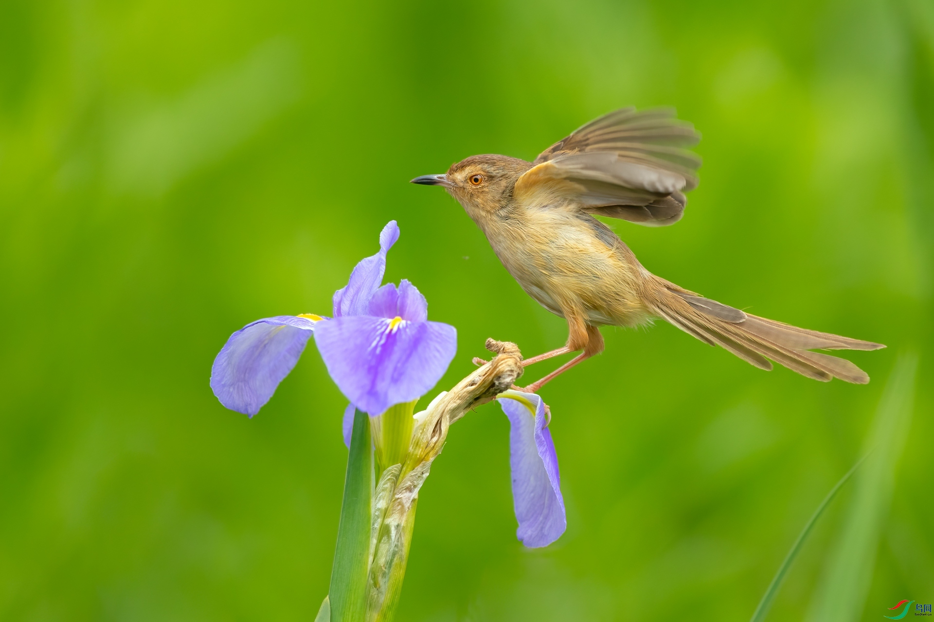 B86I1001 _����.jpg