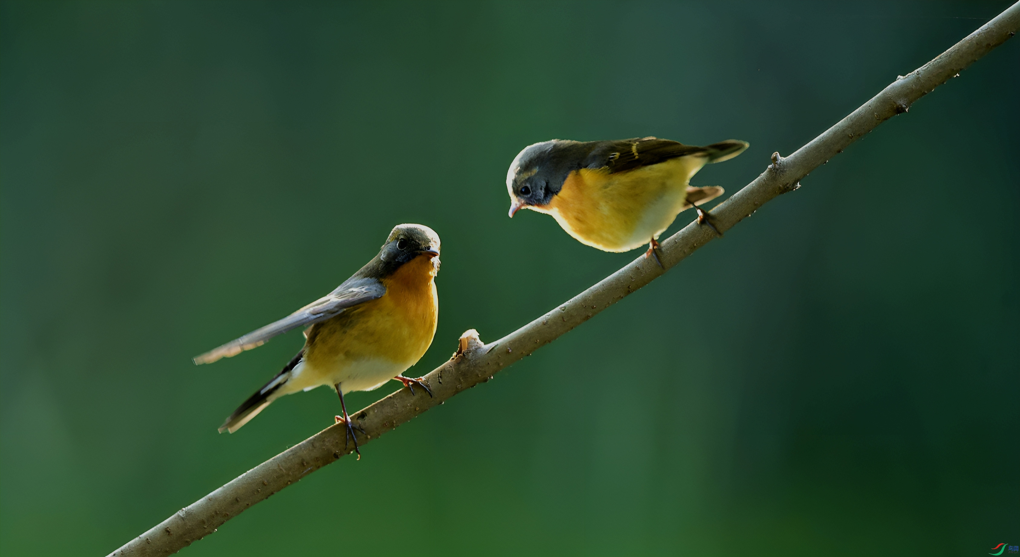 DSC_9748.jpg
