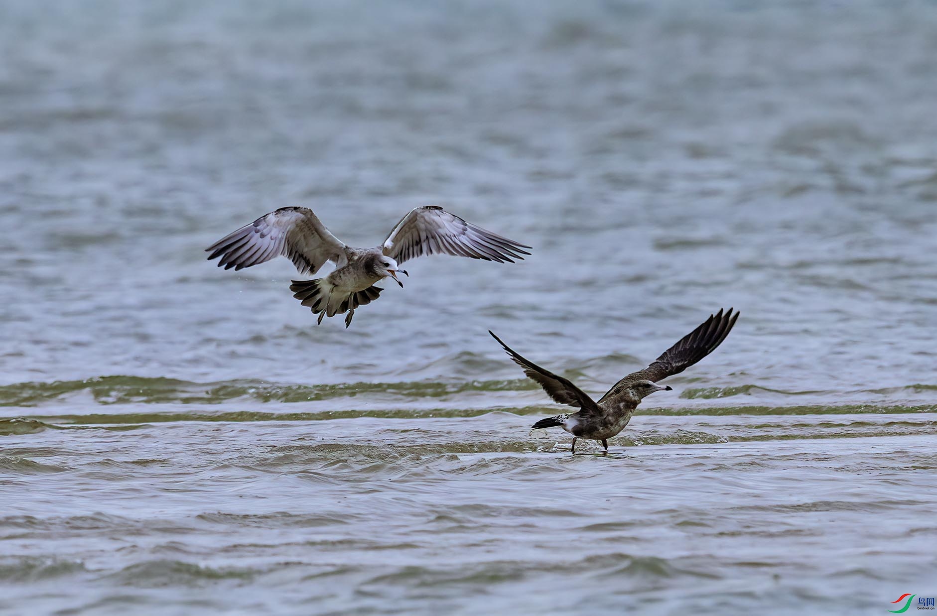 ���ã����ܣ�