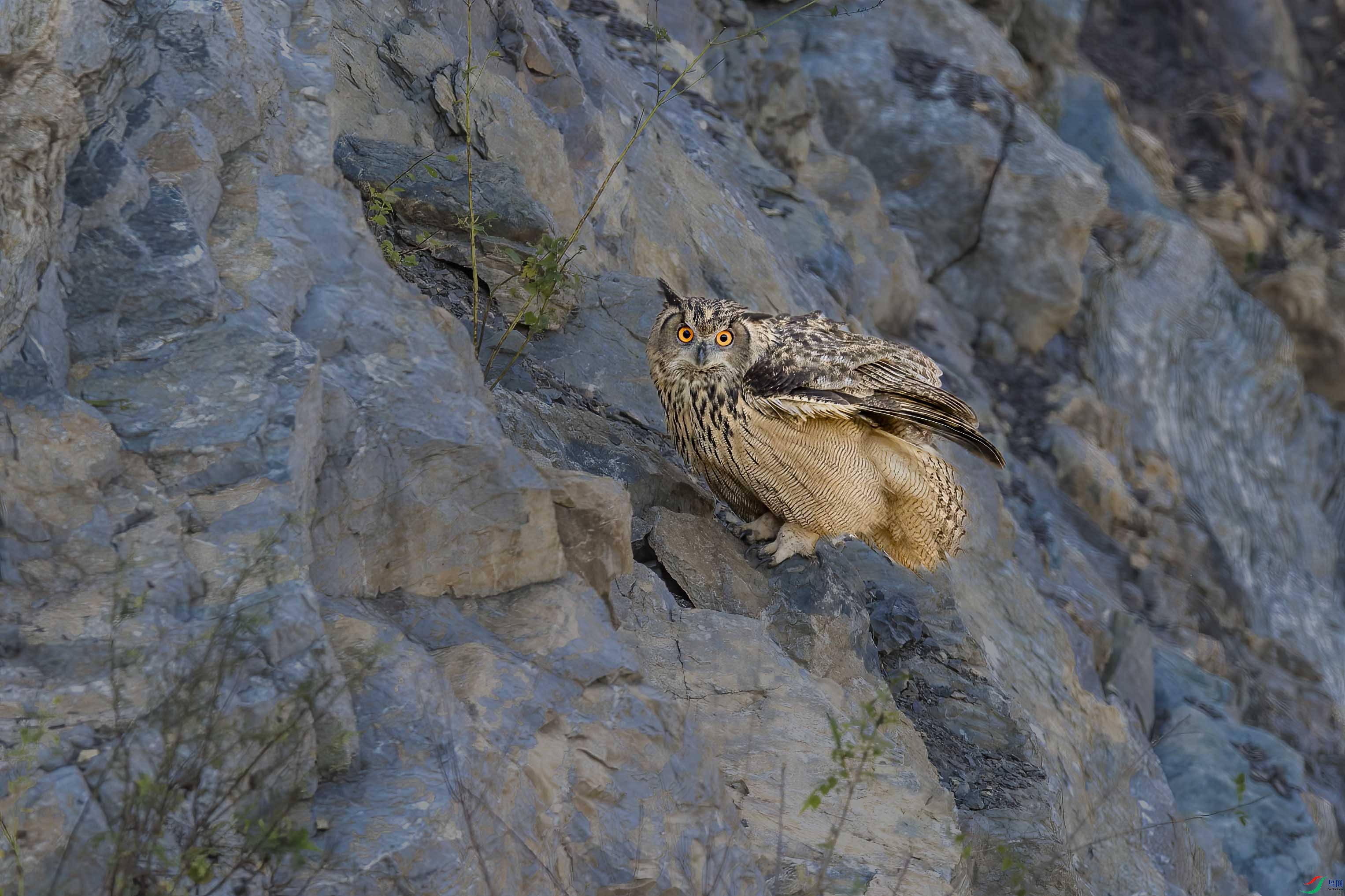 DSC_4747 ����.jpg