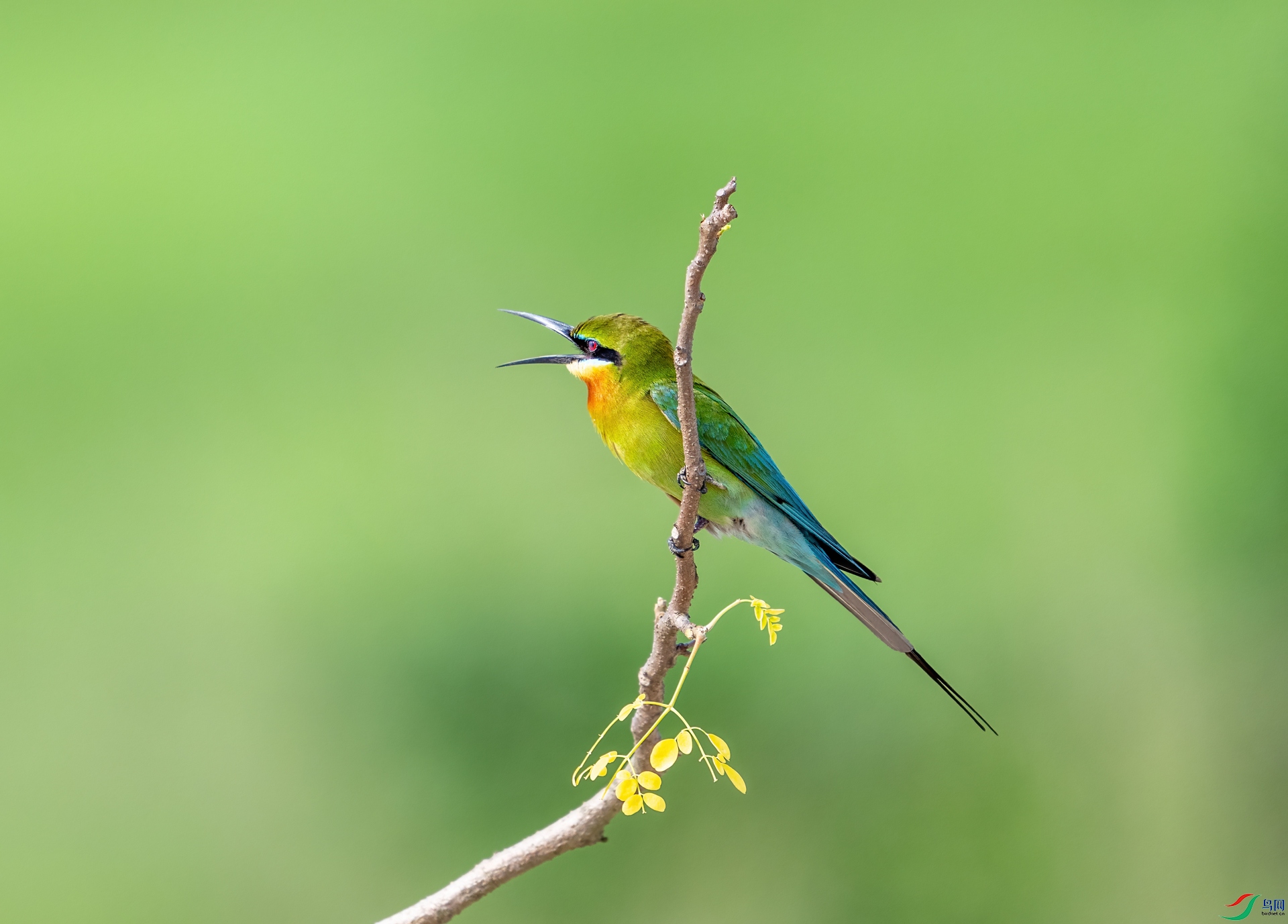 DSC_7811-1.jpg