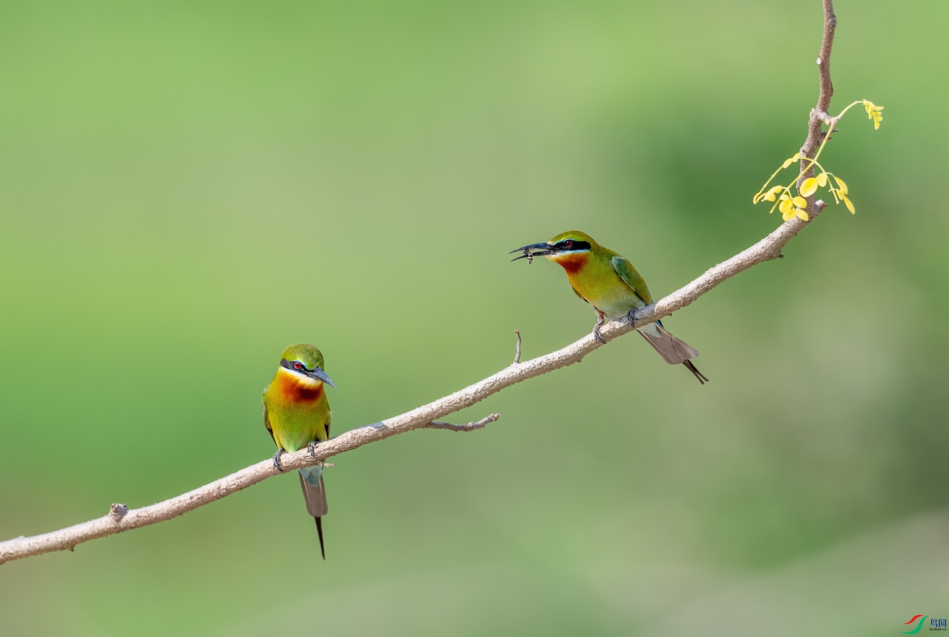DSC_7747-1.jpg
