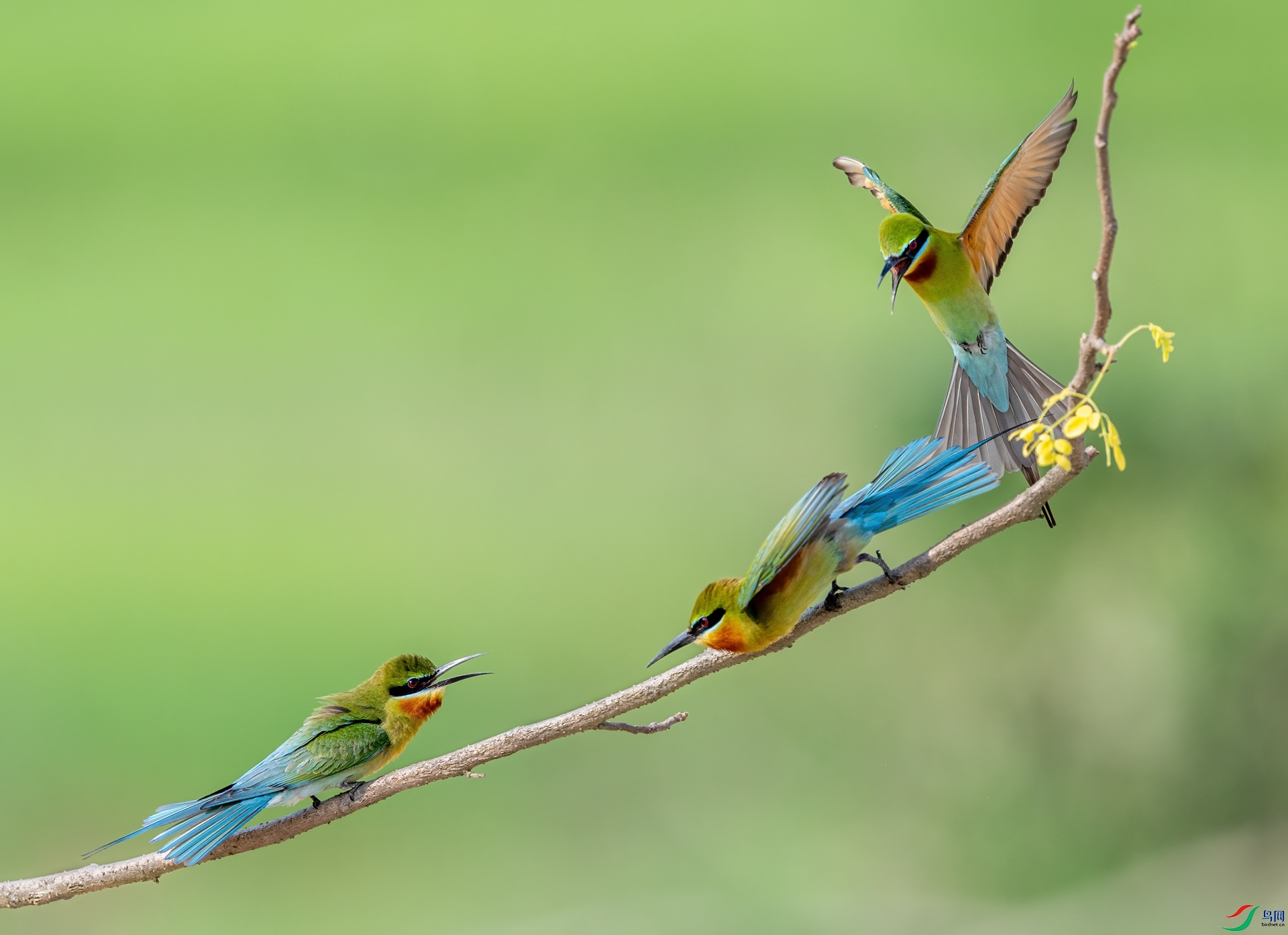DSC_7599-1.jpg