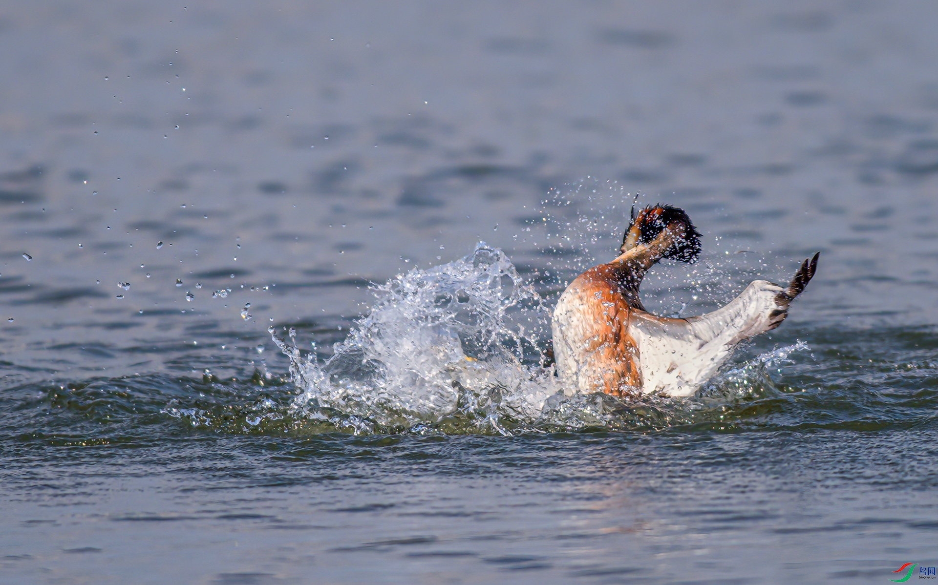 _S7I2976-De----1 .jpg