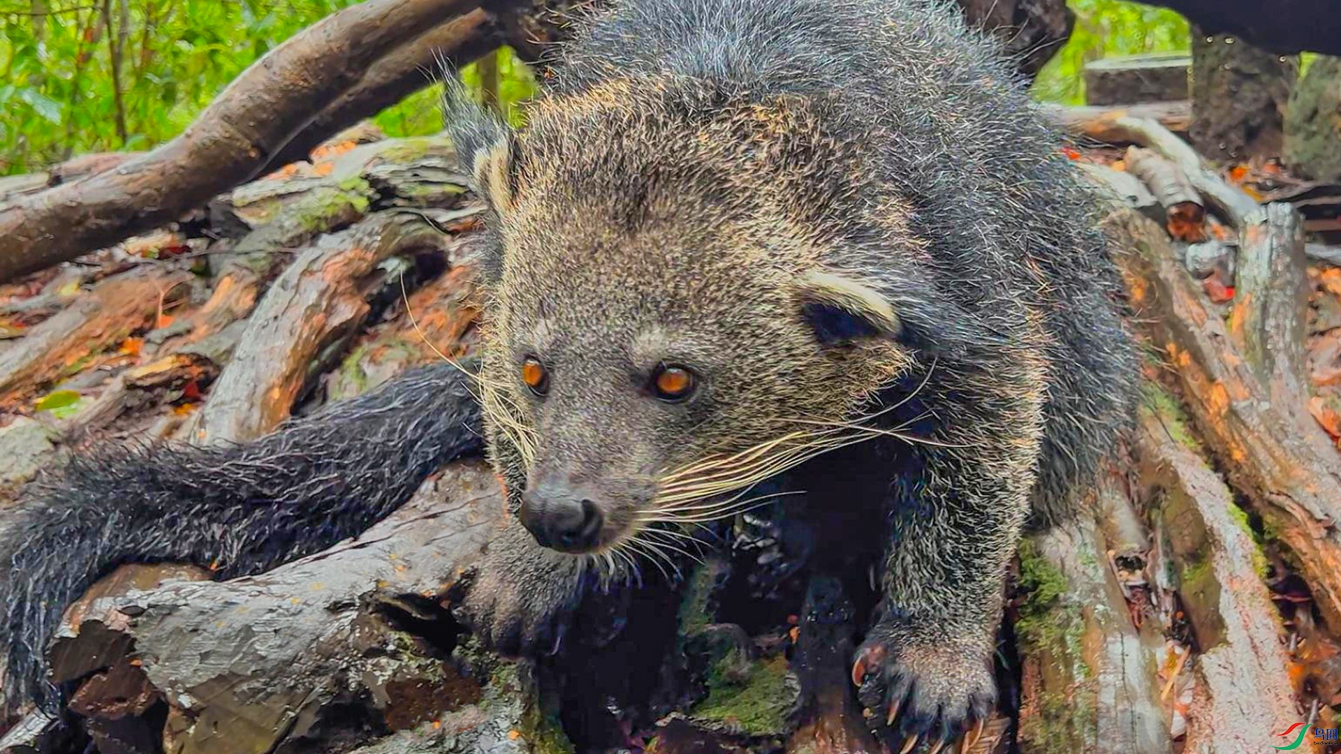 9��23�� (1)(1)-����.jpg