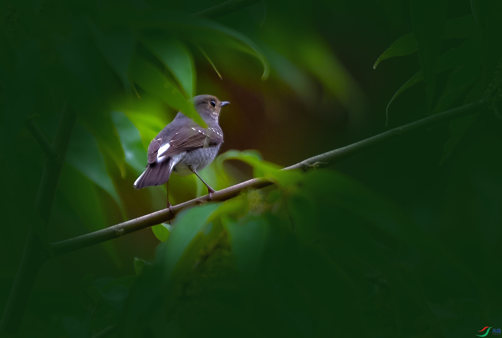 DSC_8778.JPG