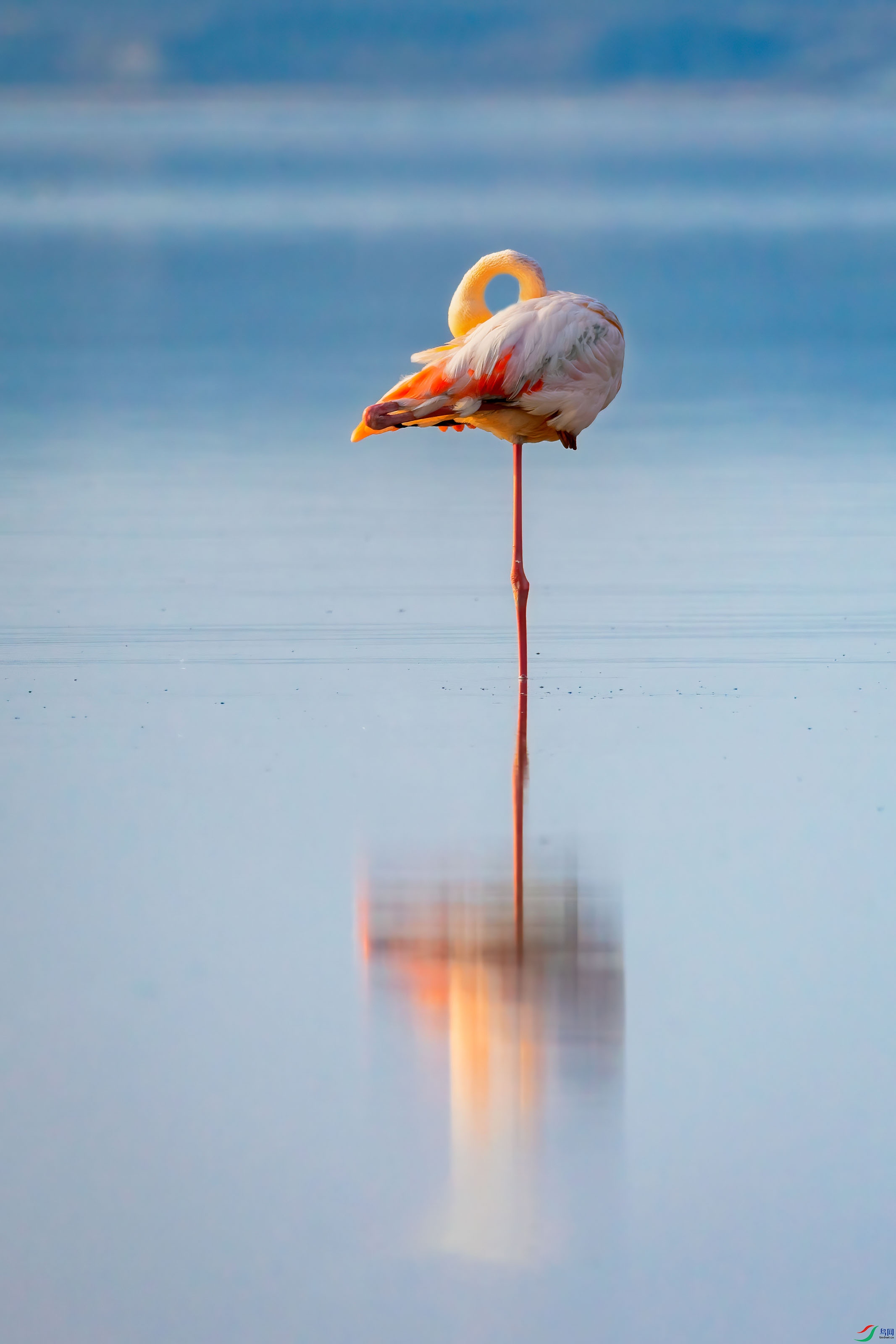 _X7A7042_1.jpg