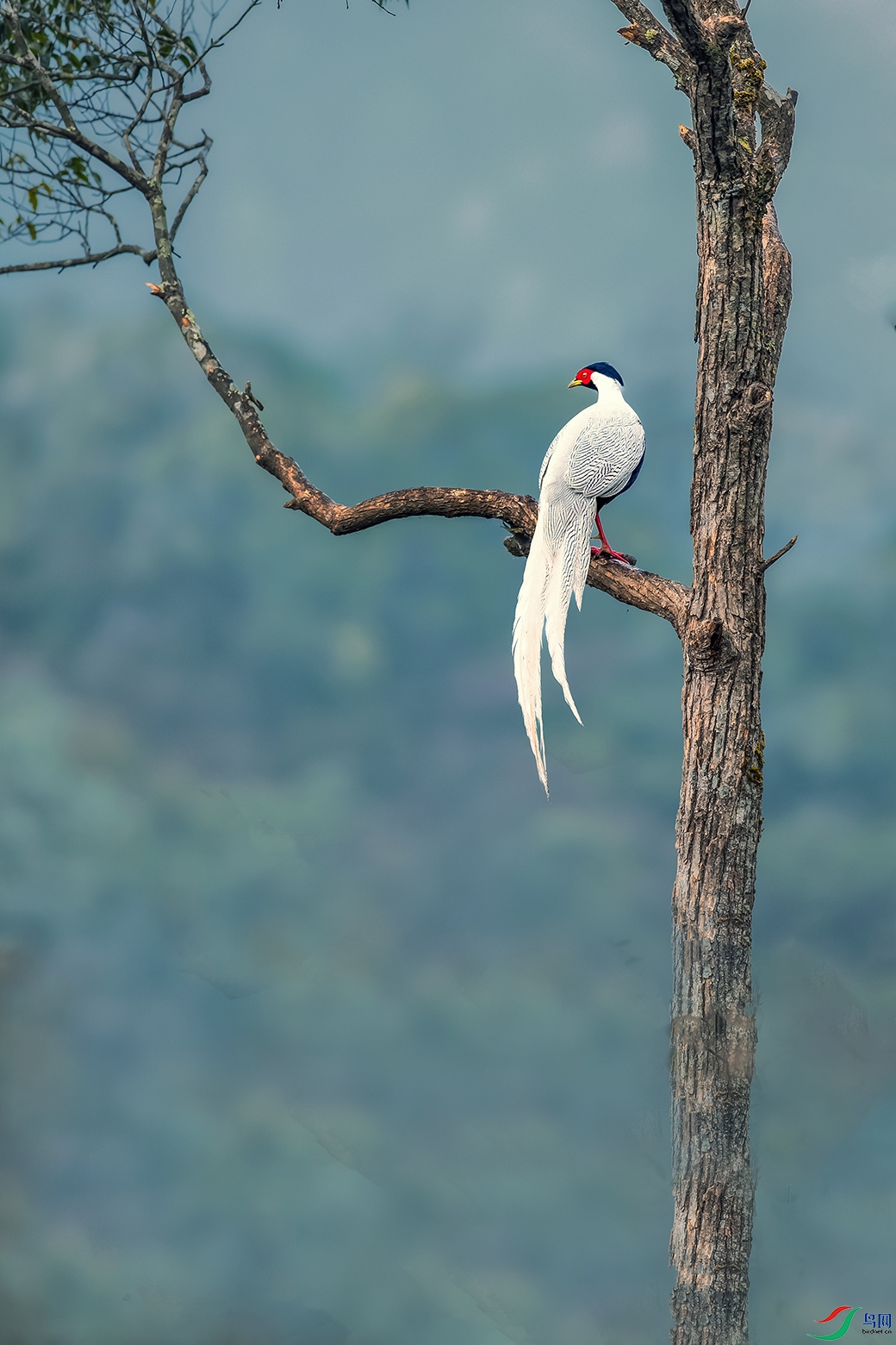 ����----�Ǹ�Զ��