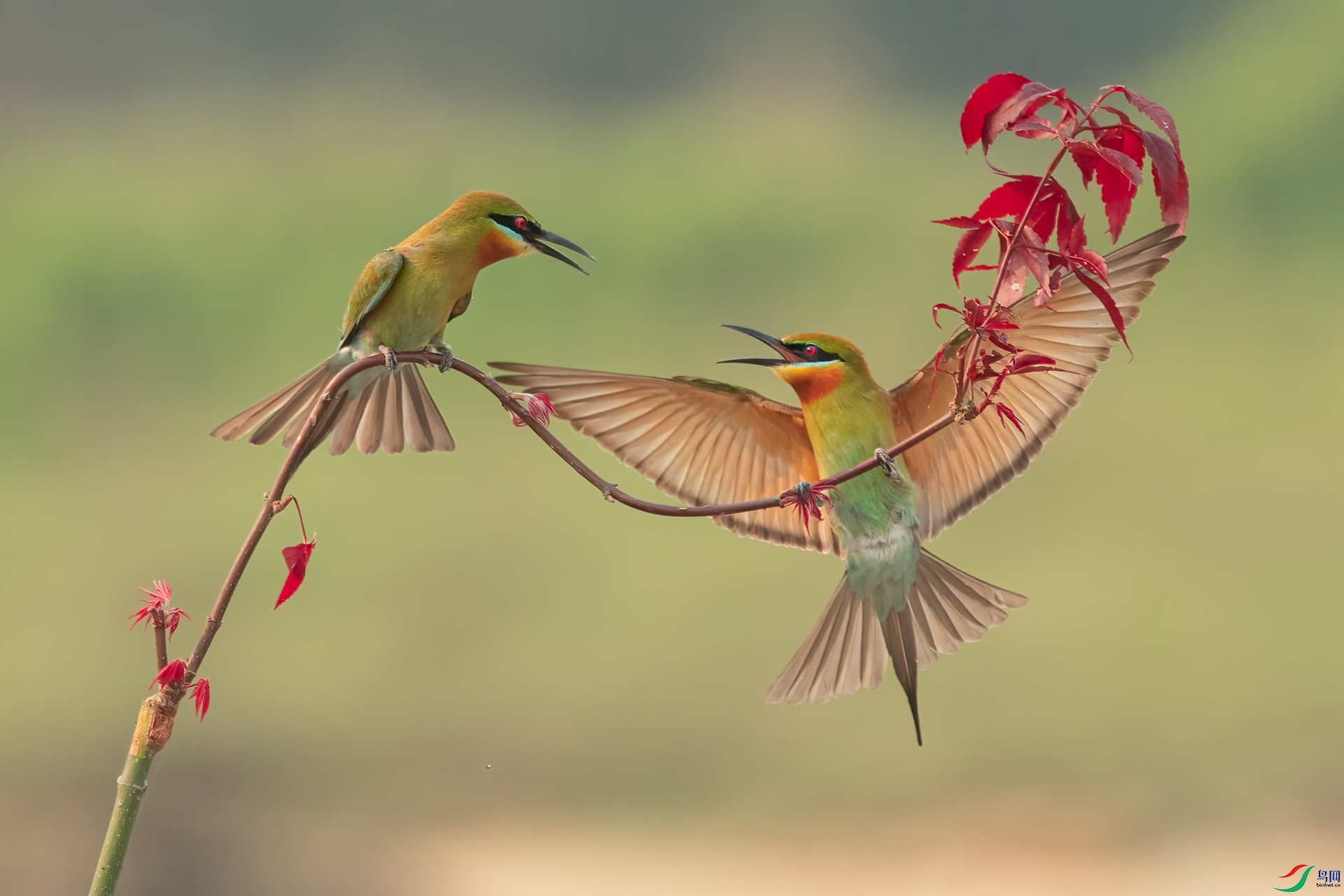 B86I7059 _����.jpg