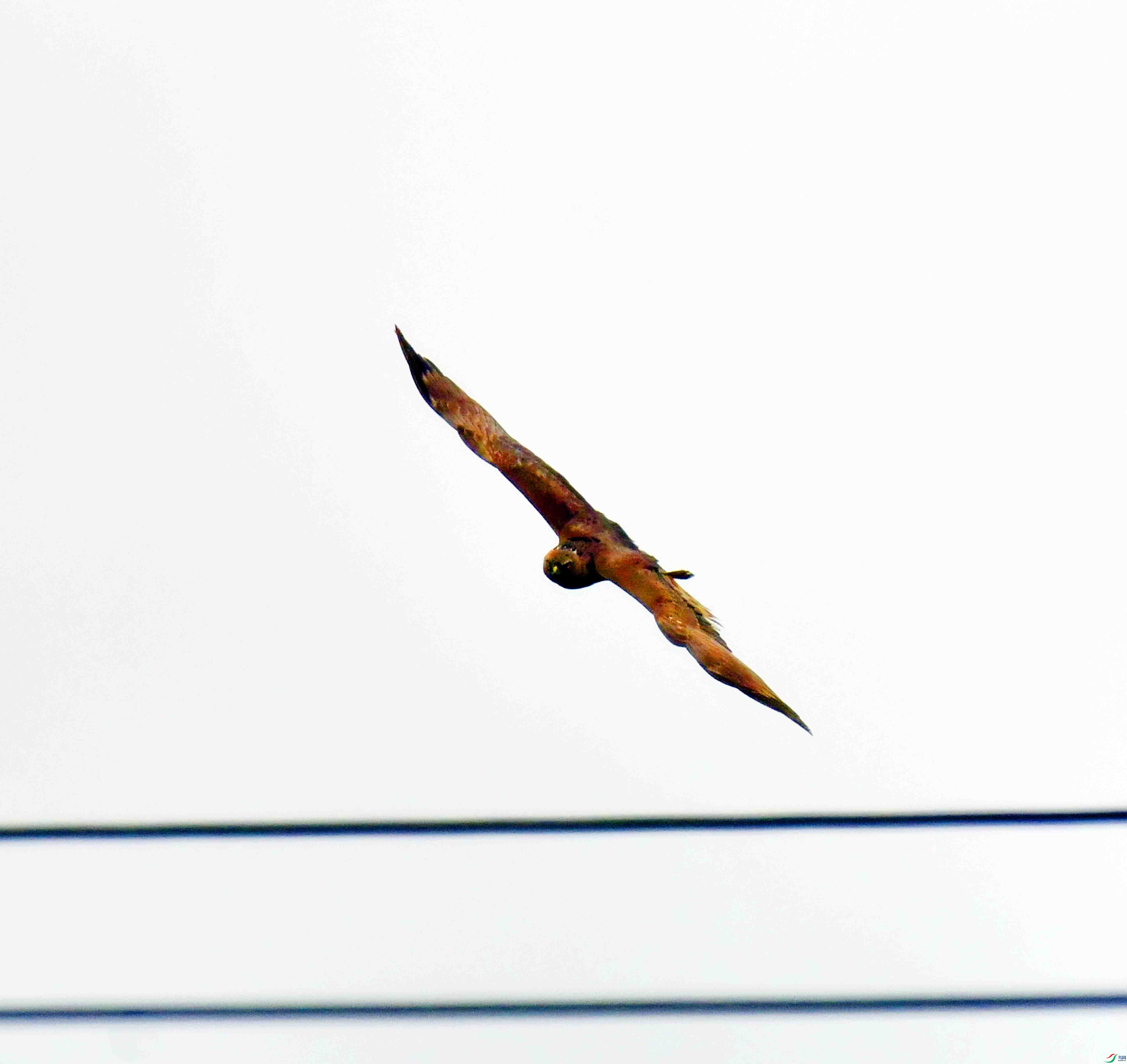 DSC_3730.JPG