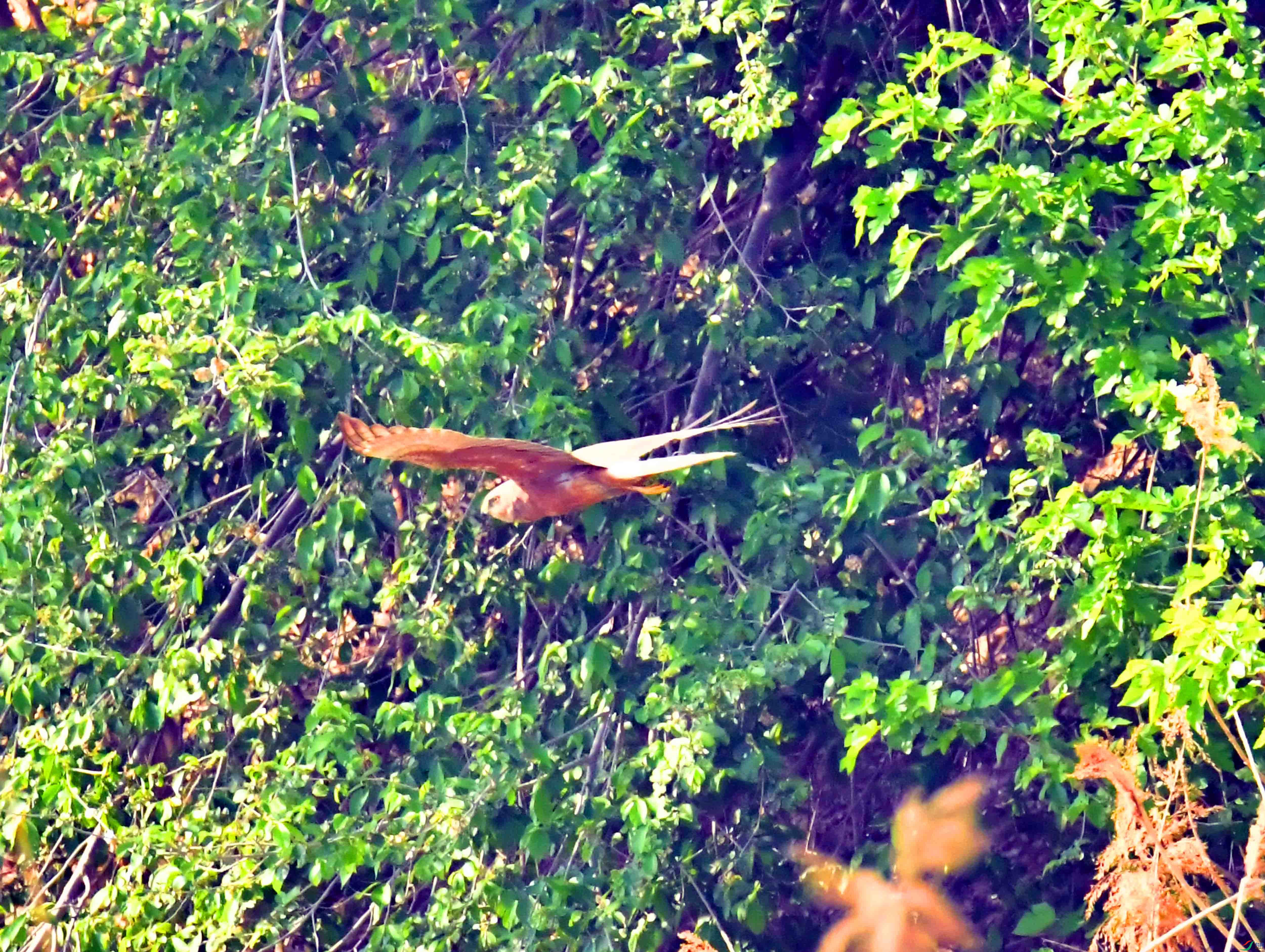 DSC_5868.JPG