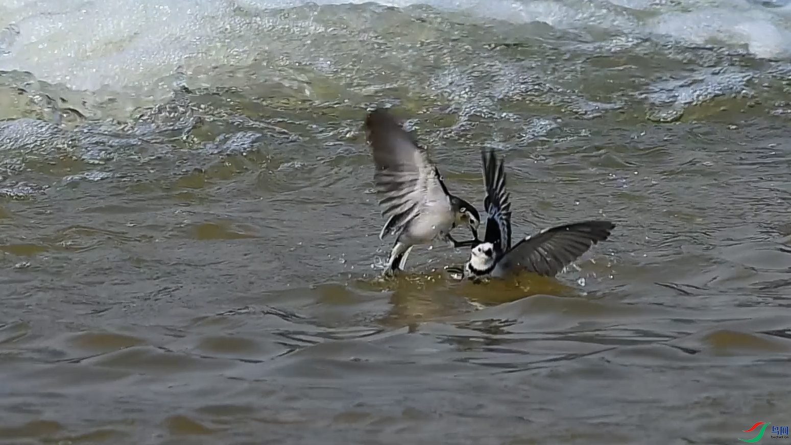 ���n�_��ս�� ����.jpg