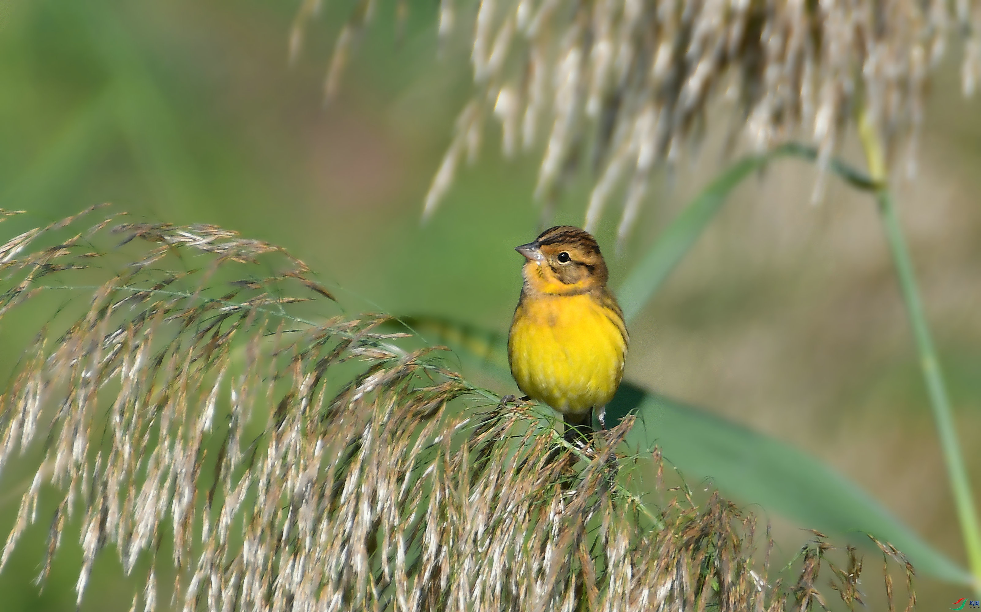 DSC_4270.JPG