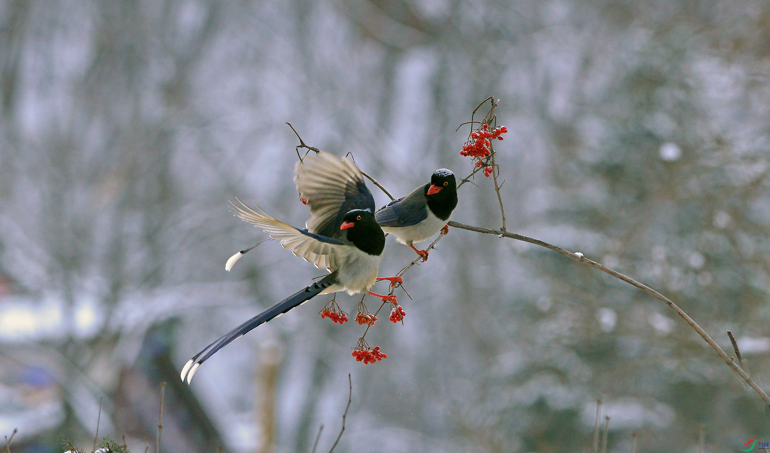 DSC_0198.jpg
