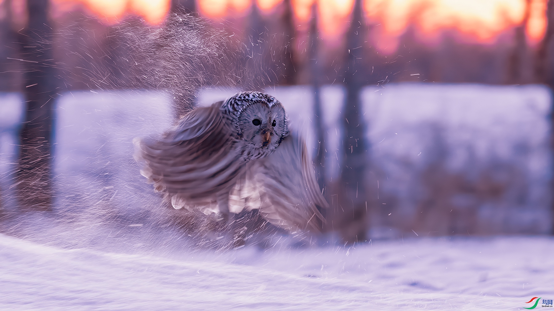 _05A9279.jpg