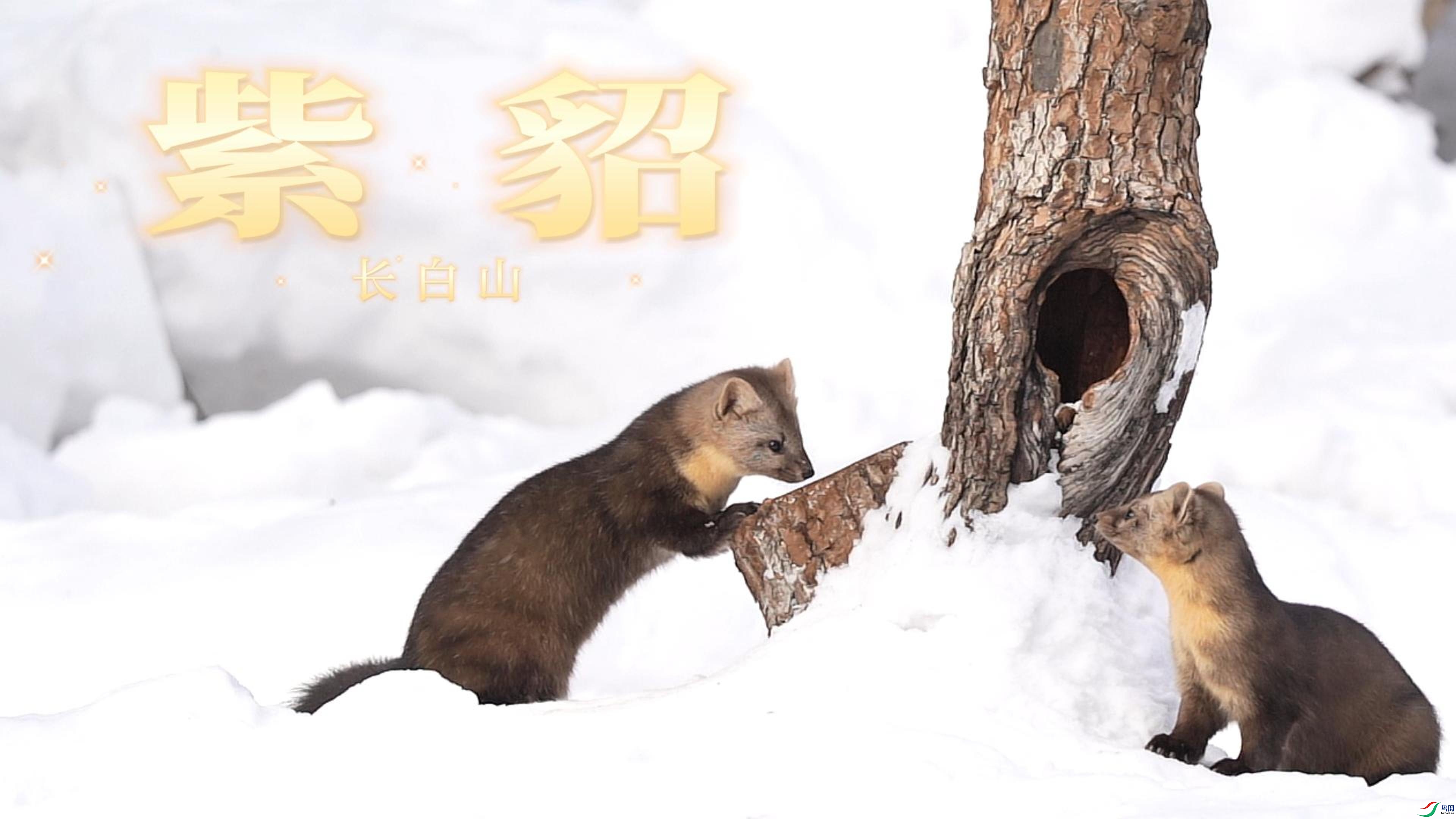 9��26�� (1)-����.jpg