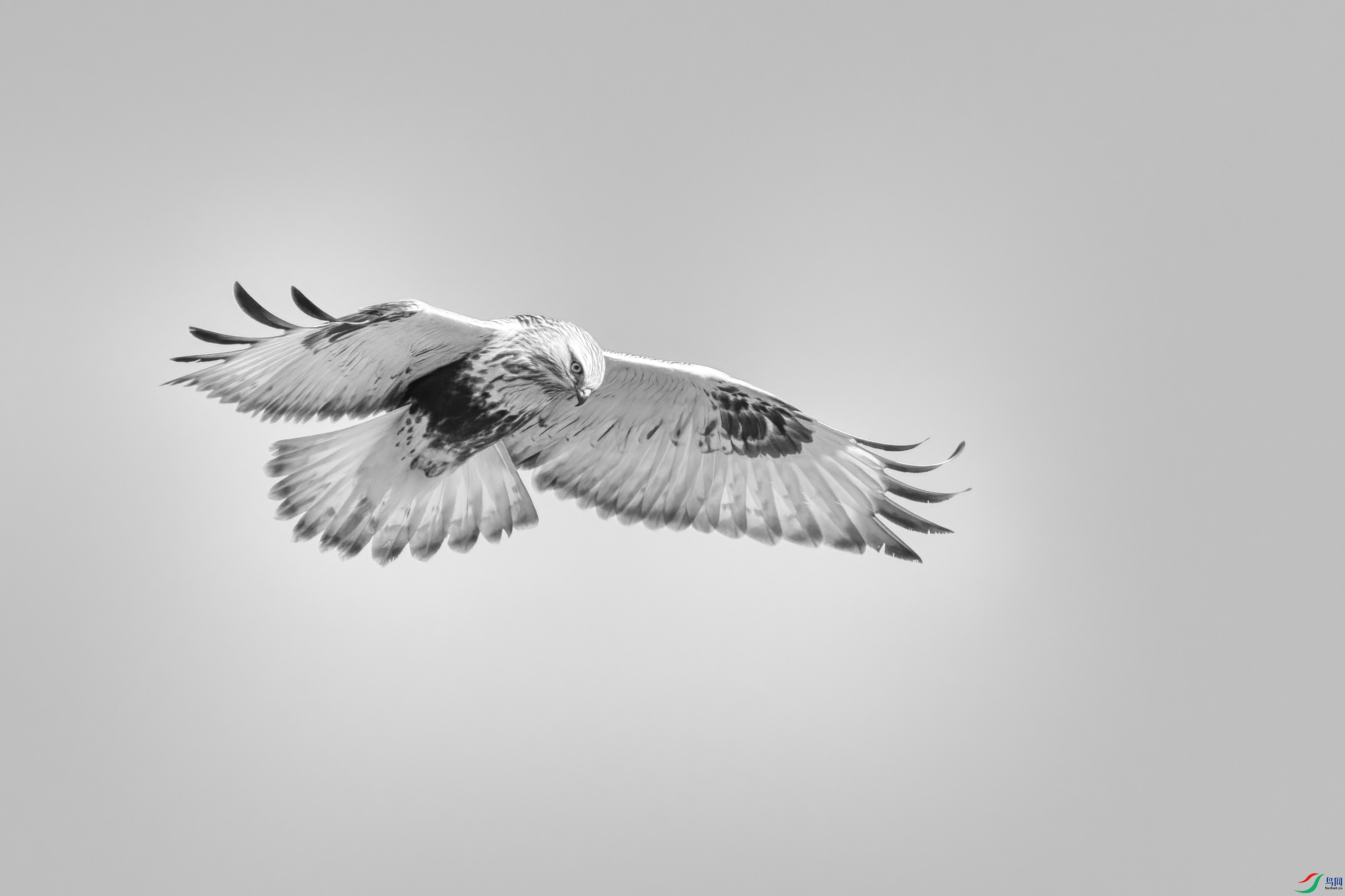 DSC07695 ����.jpg