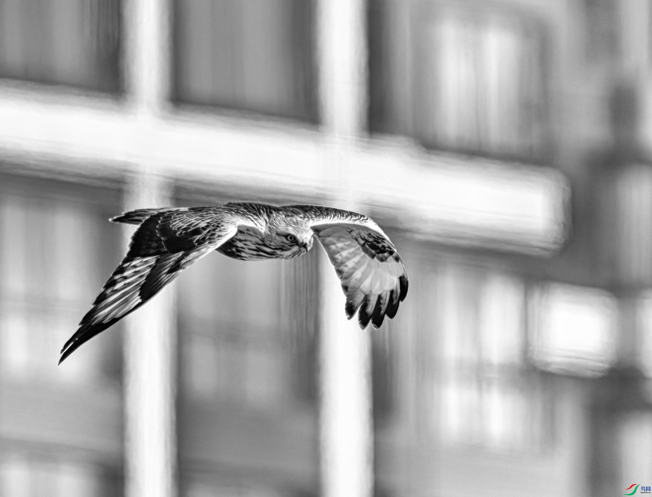 DSC07759 ����.jpg