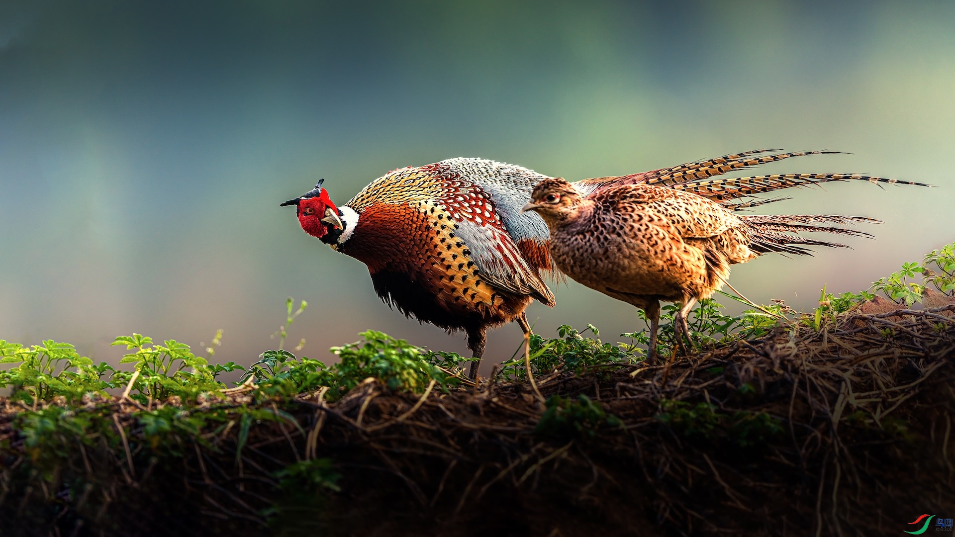 1_XXI5041-1-1 2.jpeg