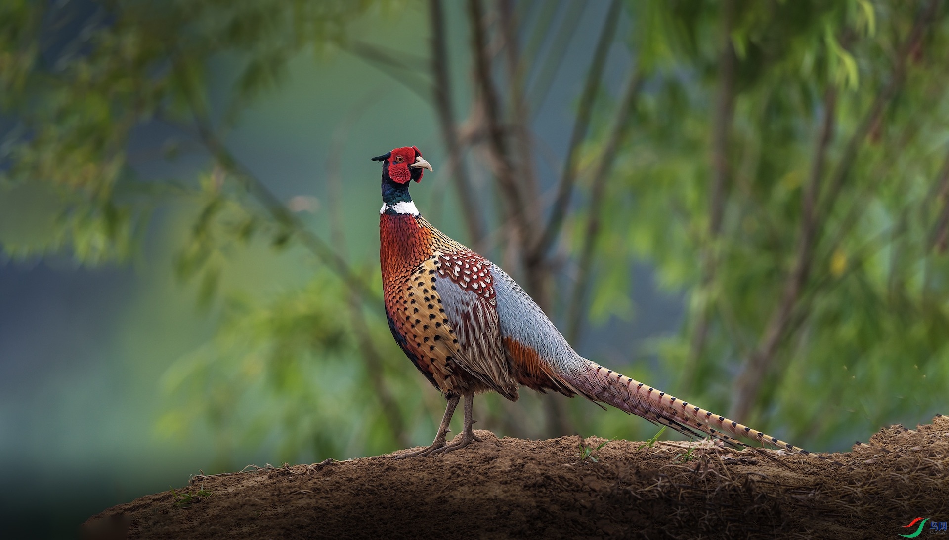 1-4�ĸ���2 ����.jpeg