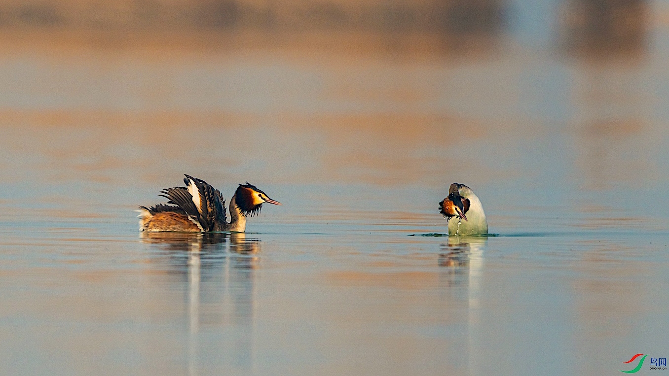 2-3 ����.jpg