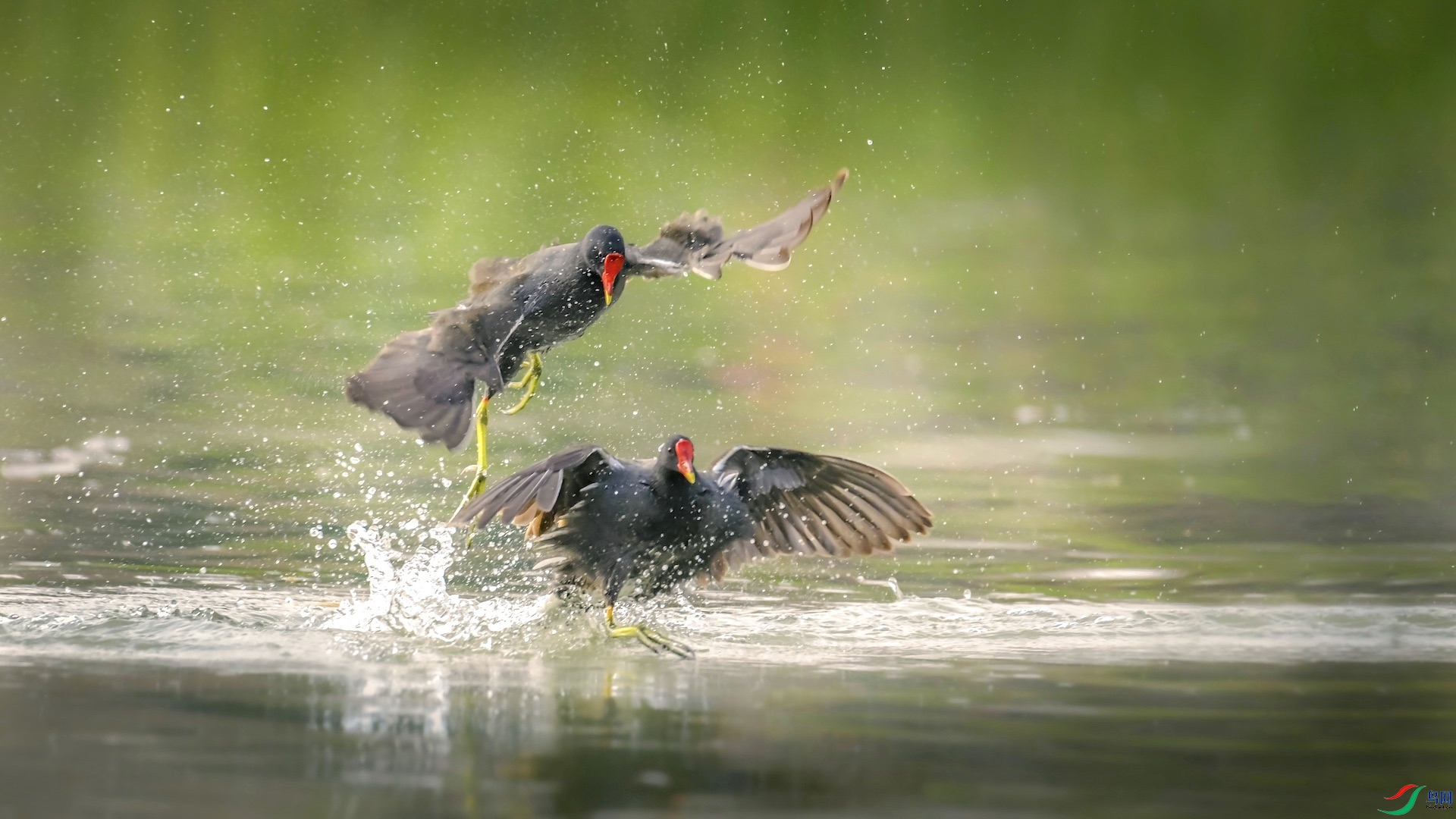 4_XXL7668 ���� 2.jpeg