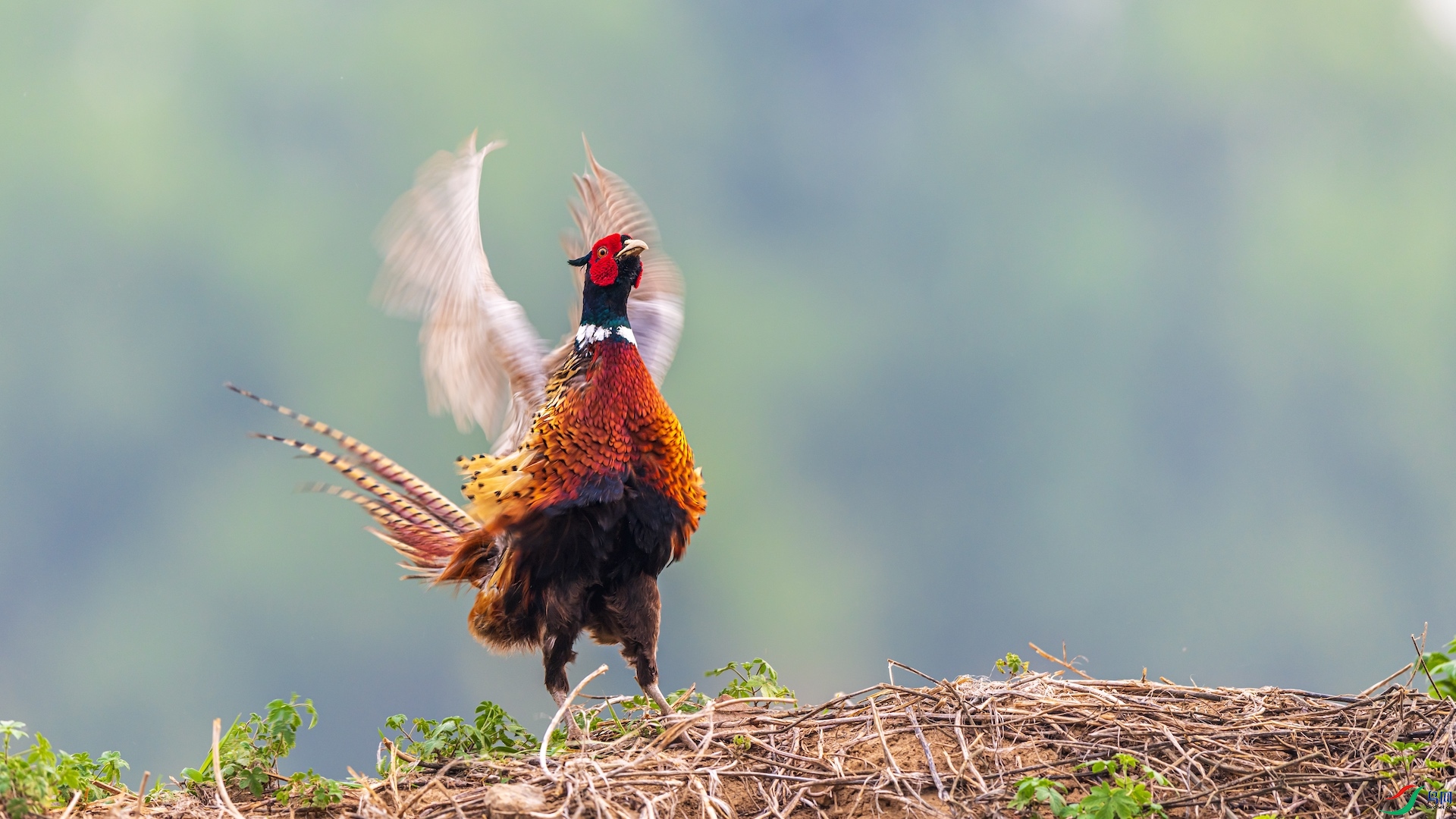 16_XXI2778 ����.jpeg