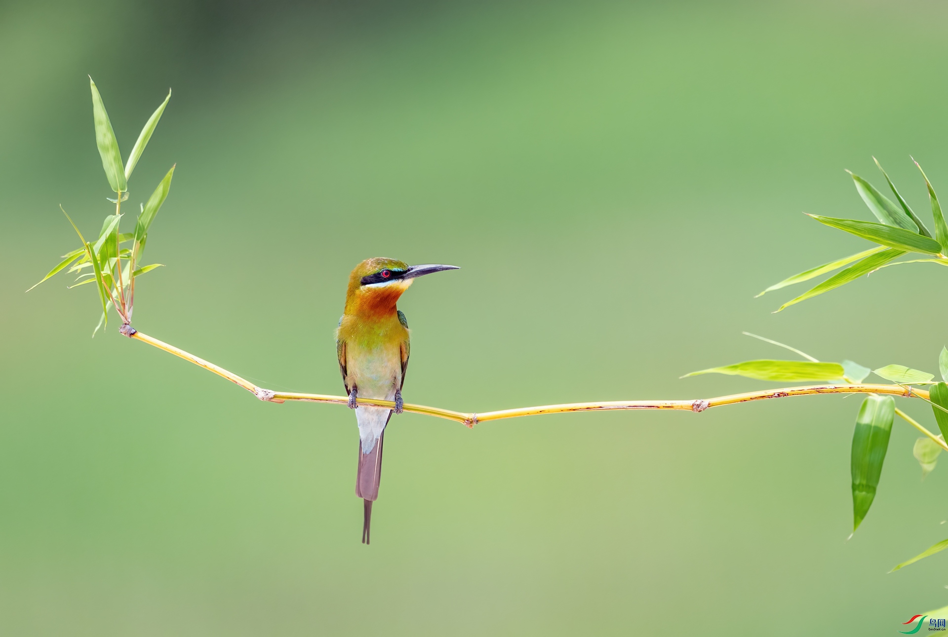 DSC_9088-1.jpg