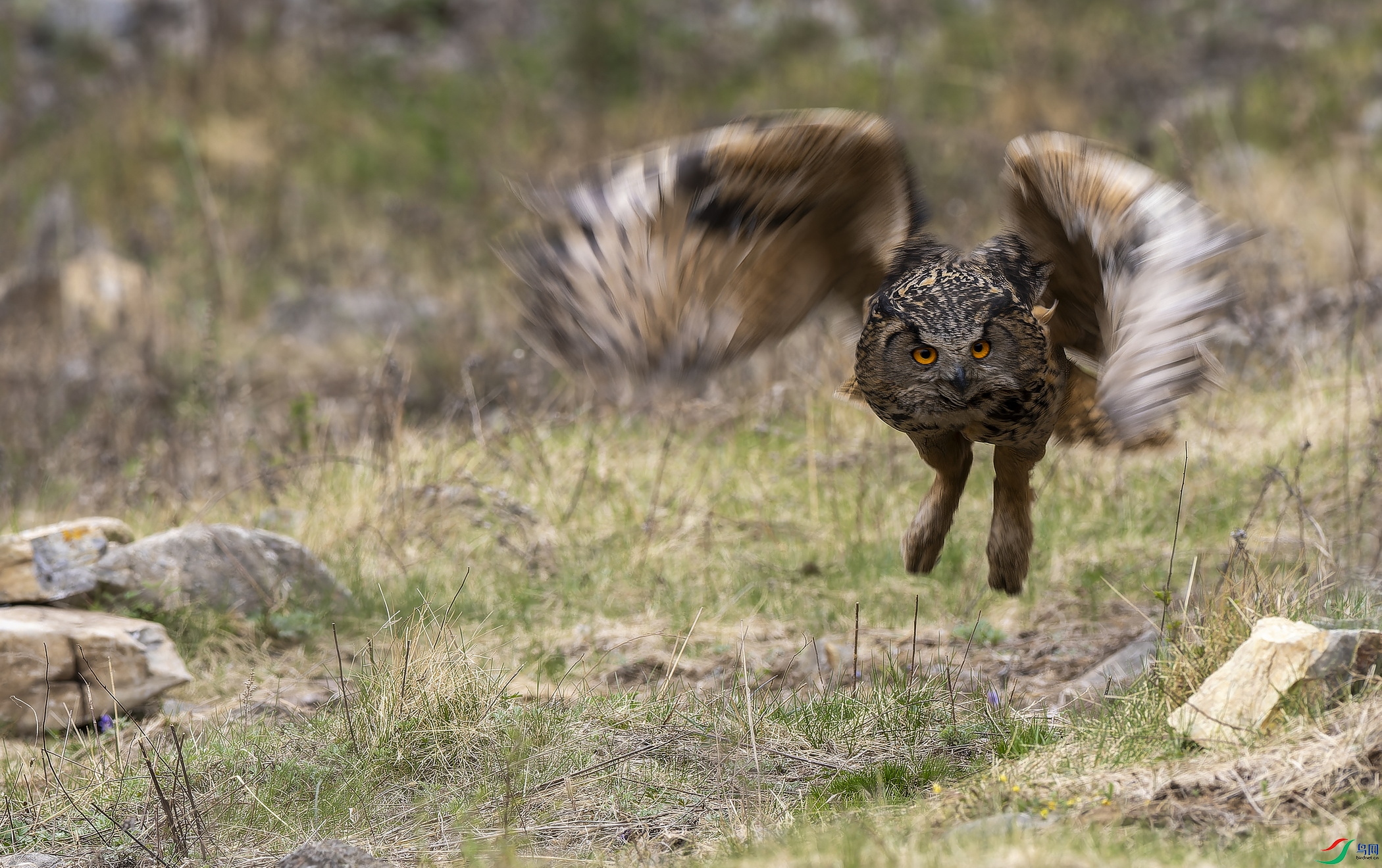 ���^ (1020)-1.jpg