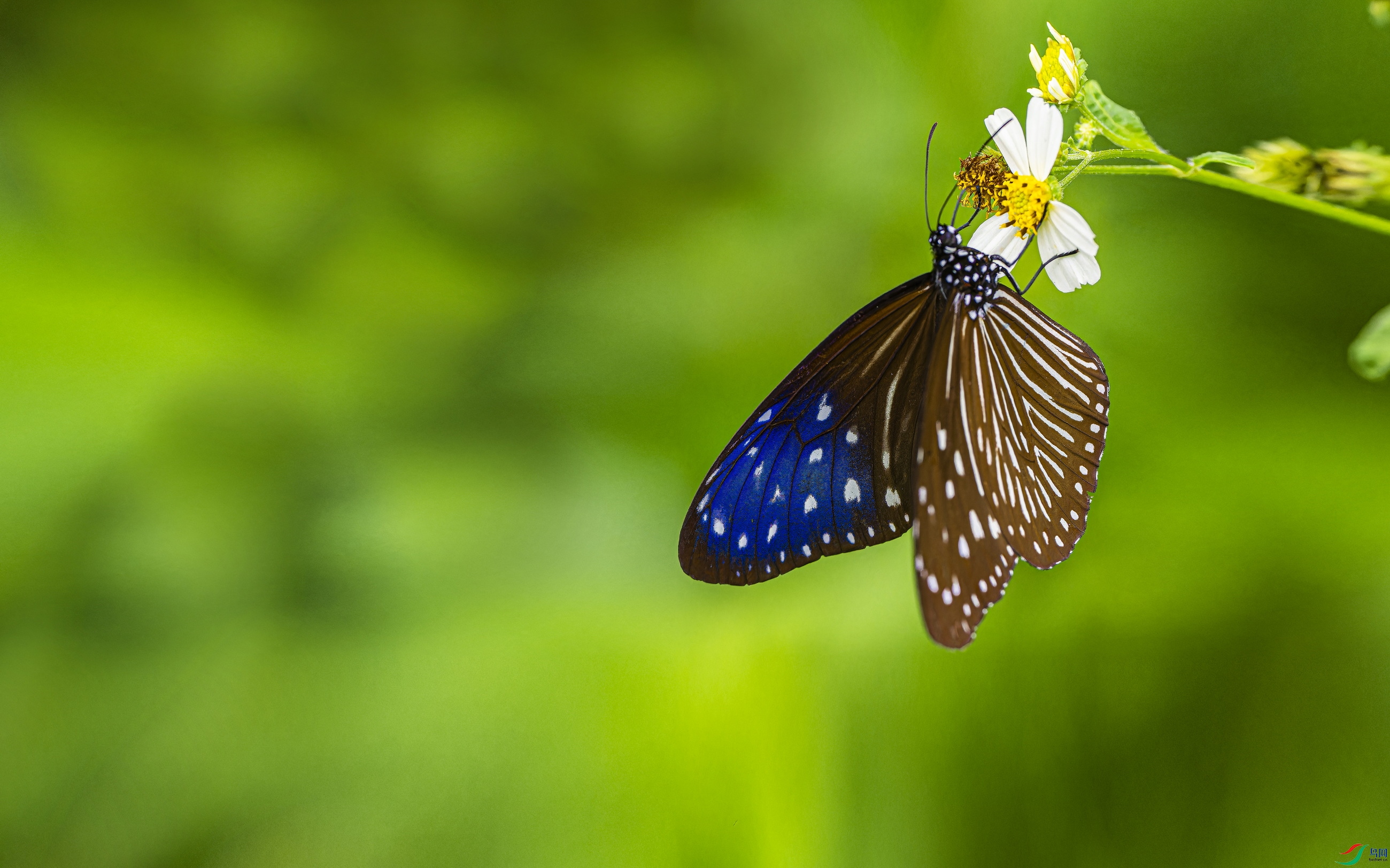 �����ϰߵ� (356)-01.jpg