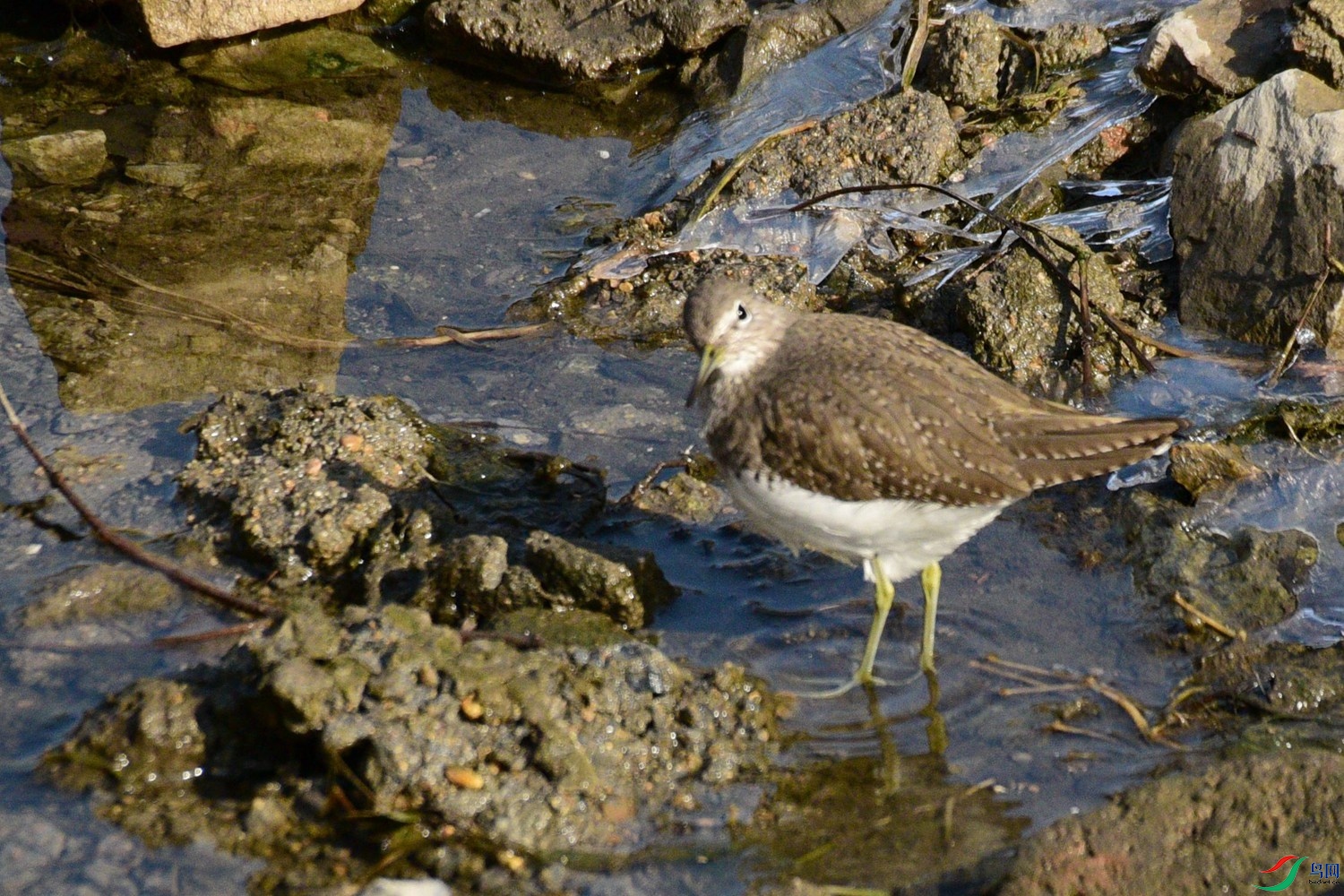 DSC_3304.JPG