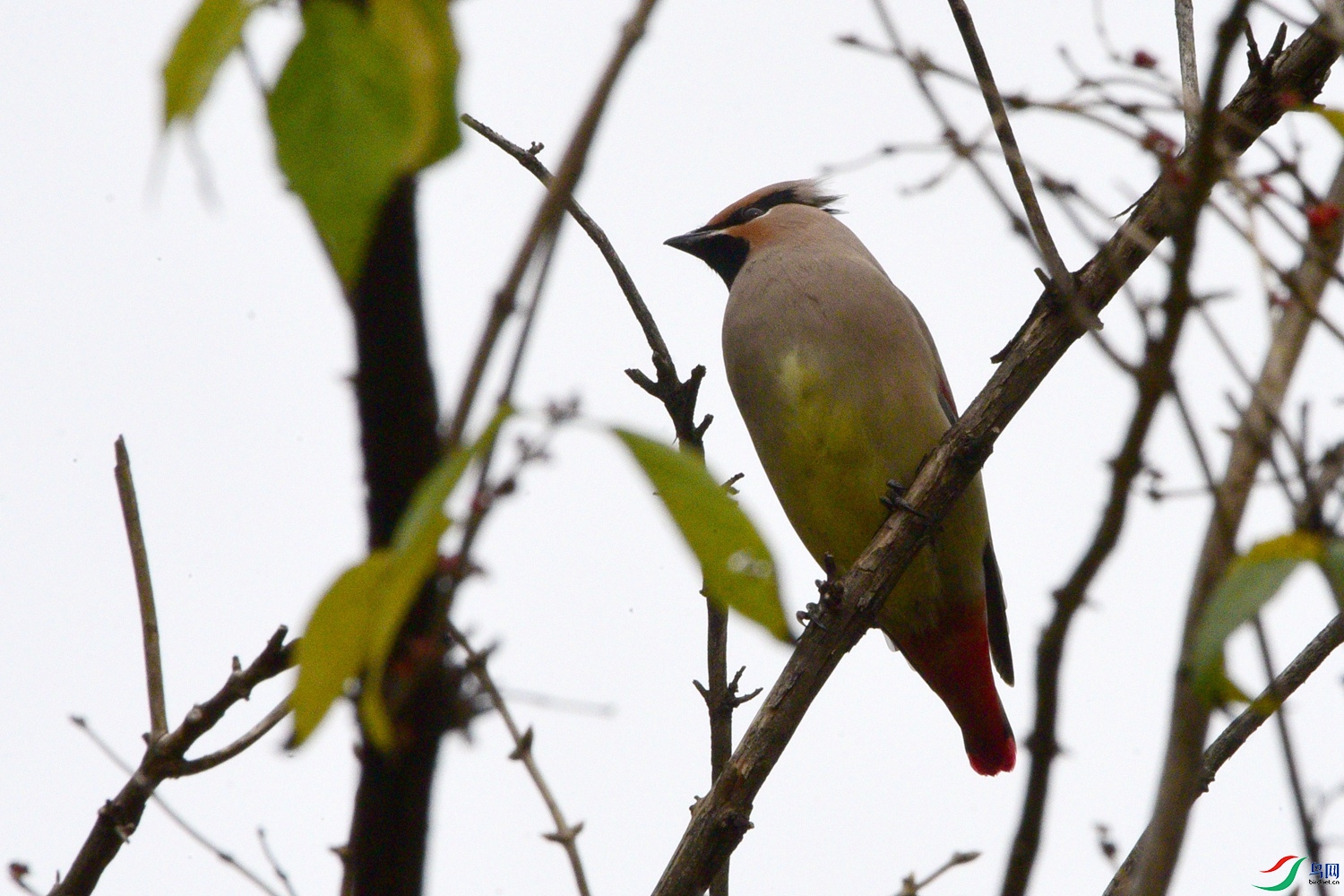 DSC_5832.JPG