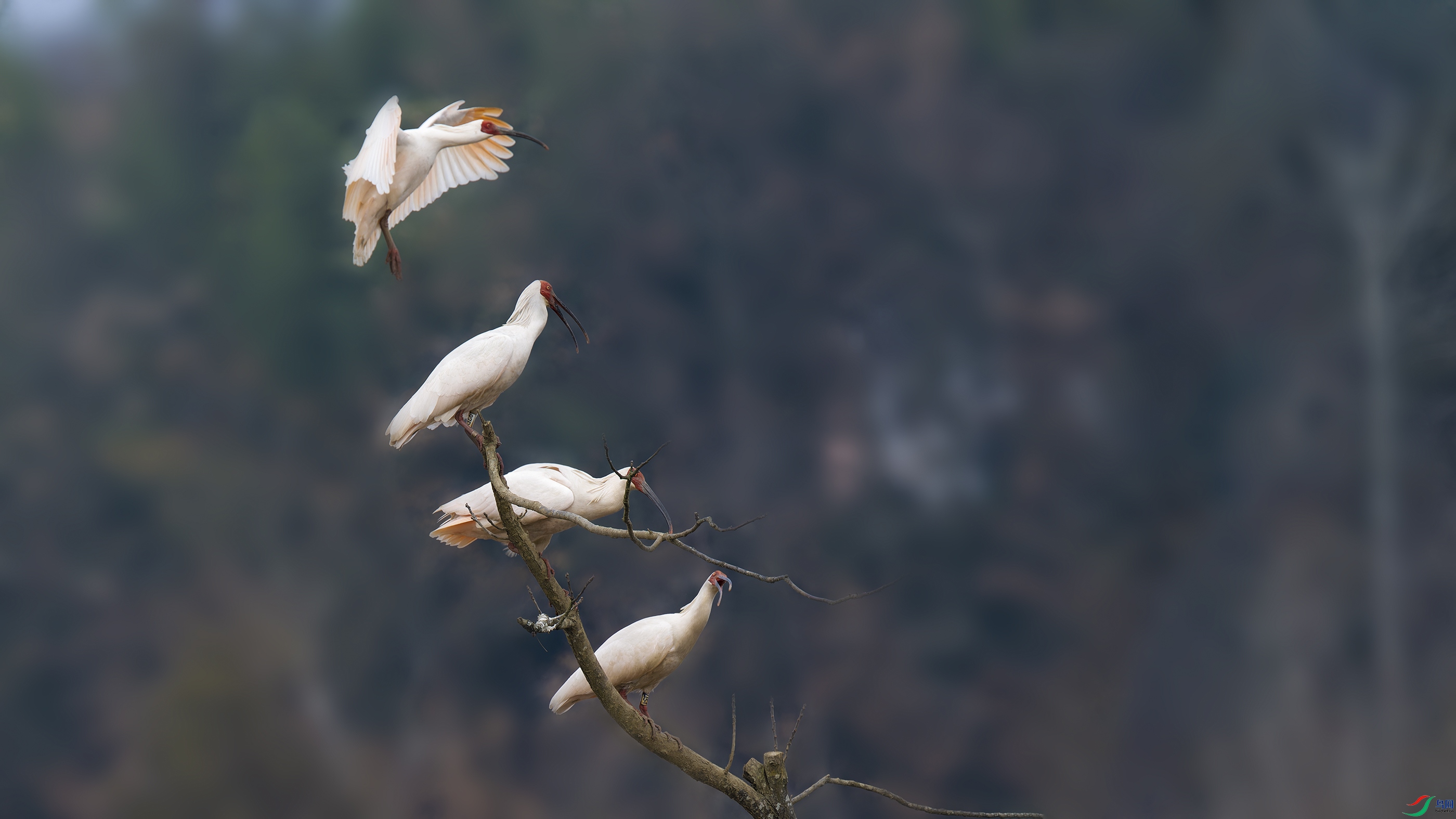 DSC_5458_DxO.jpg