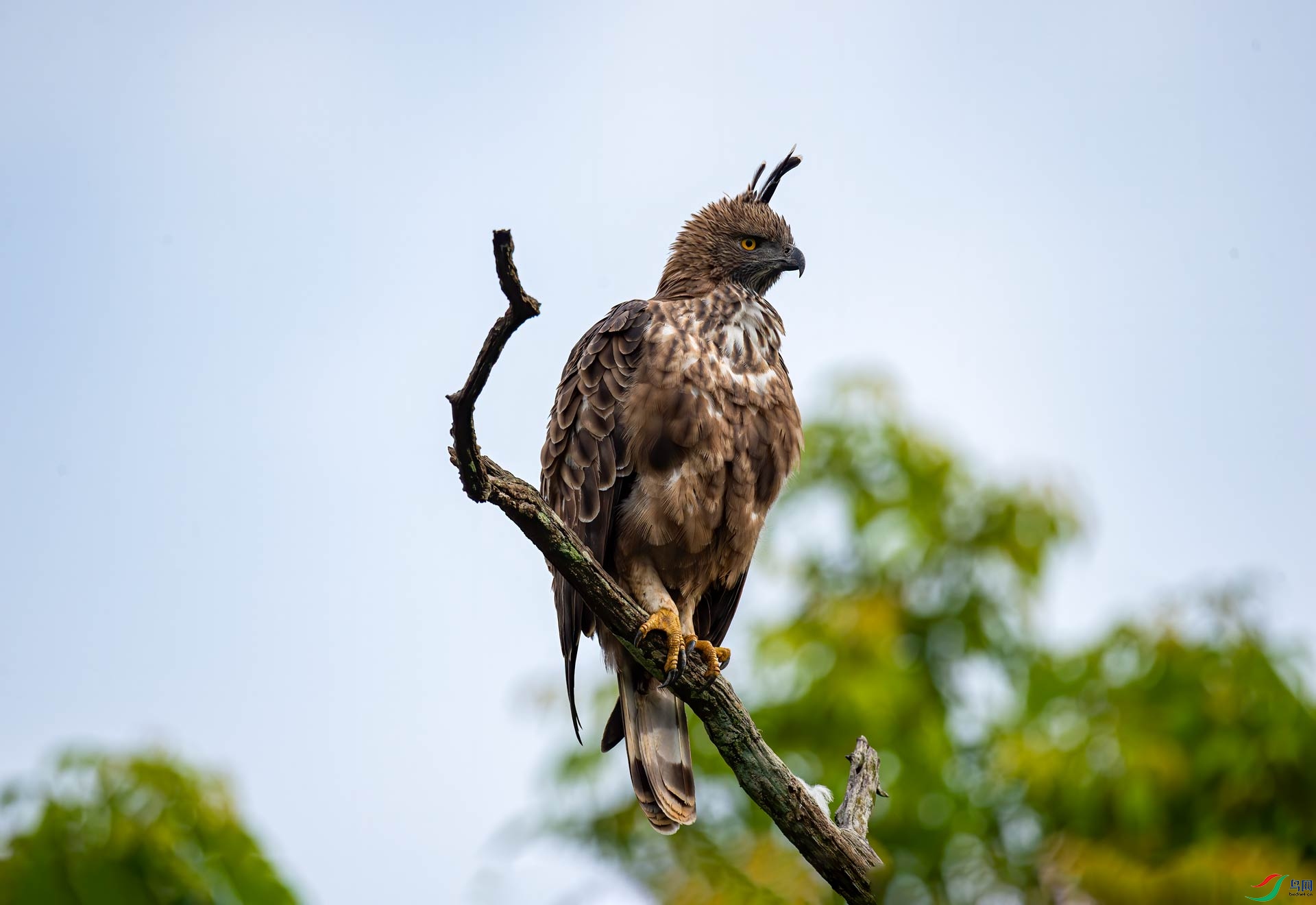 DSC_7133.jpg