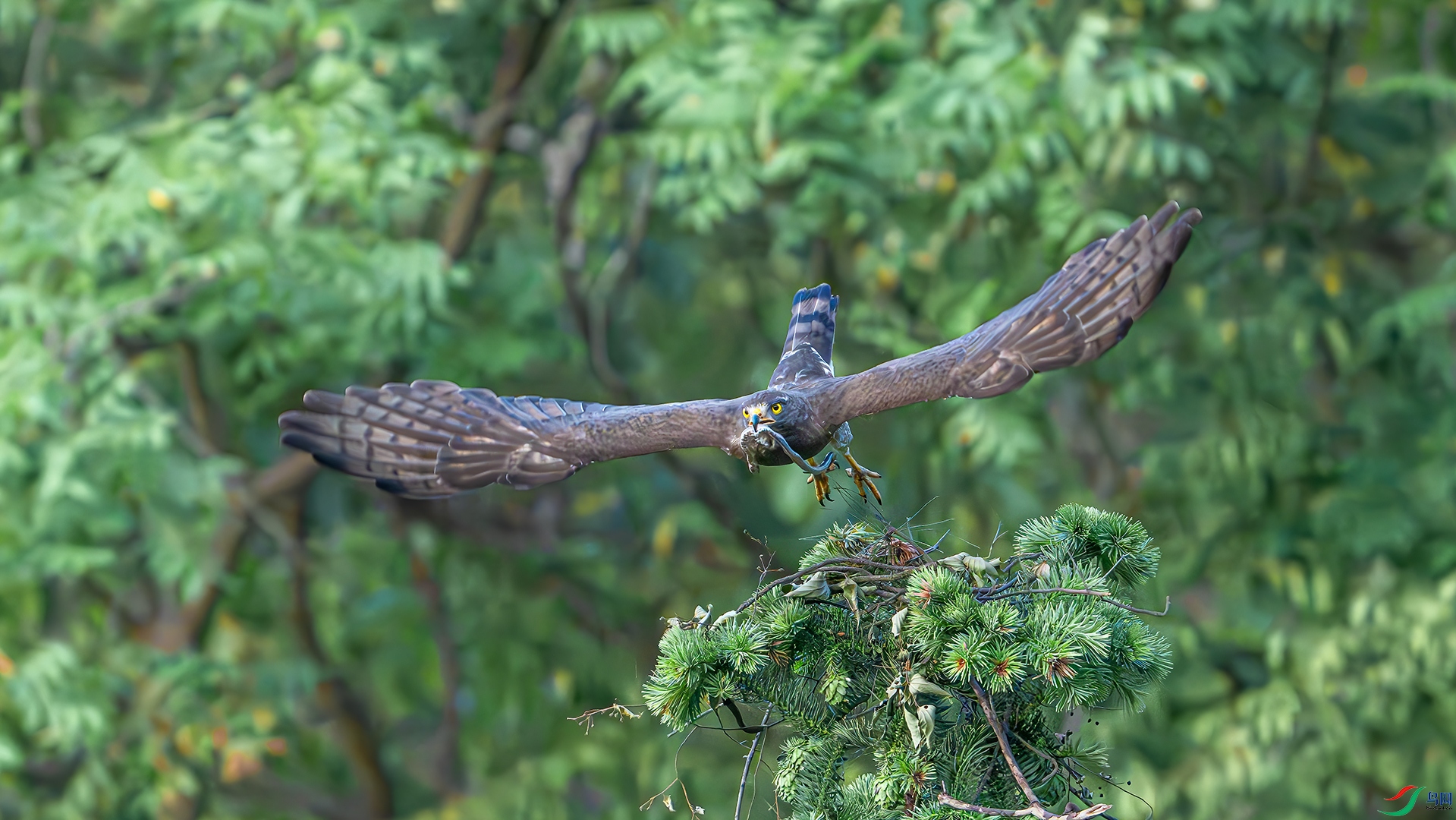 DSC_8420.jpg