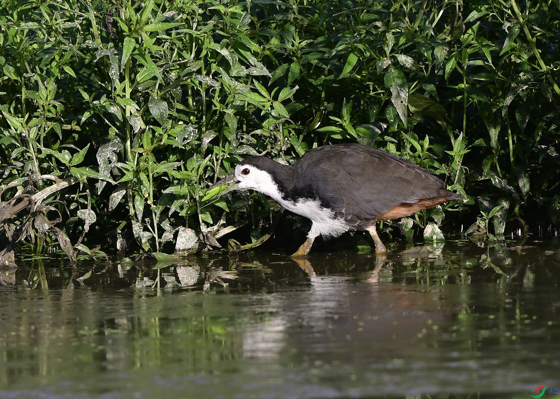_D5D0582.jpg