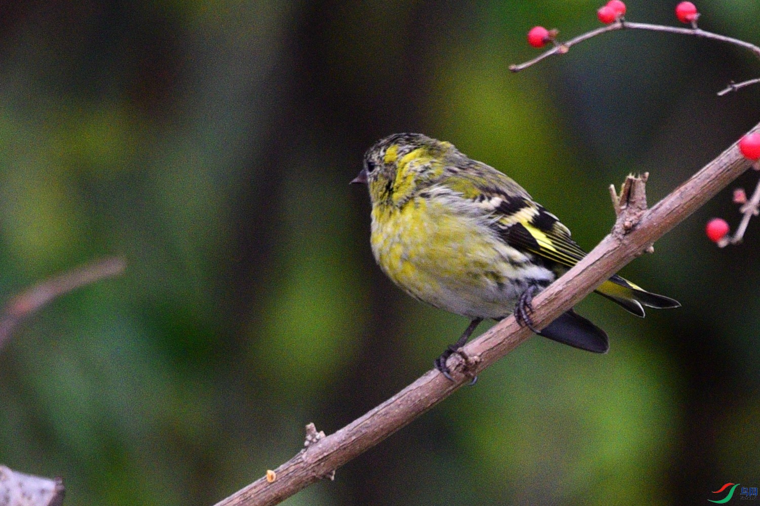 DSC_6174.JPG