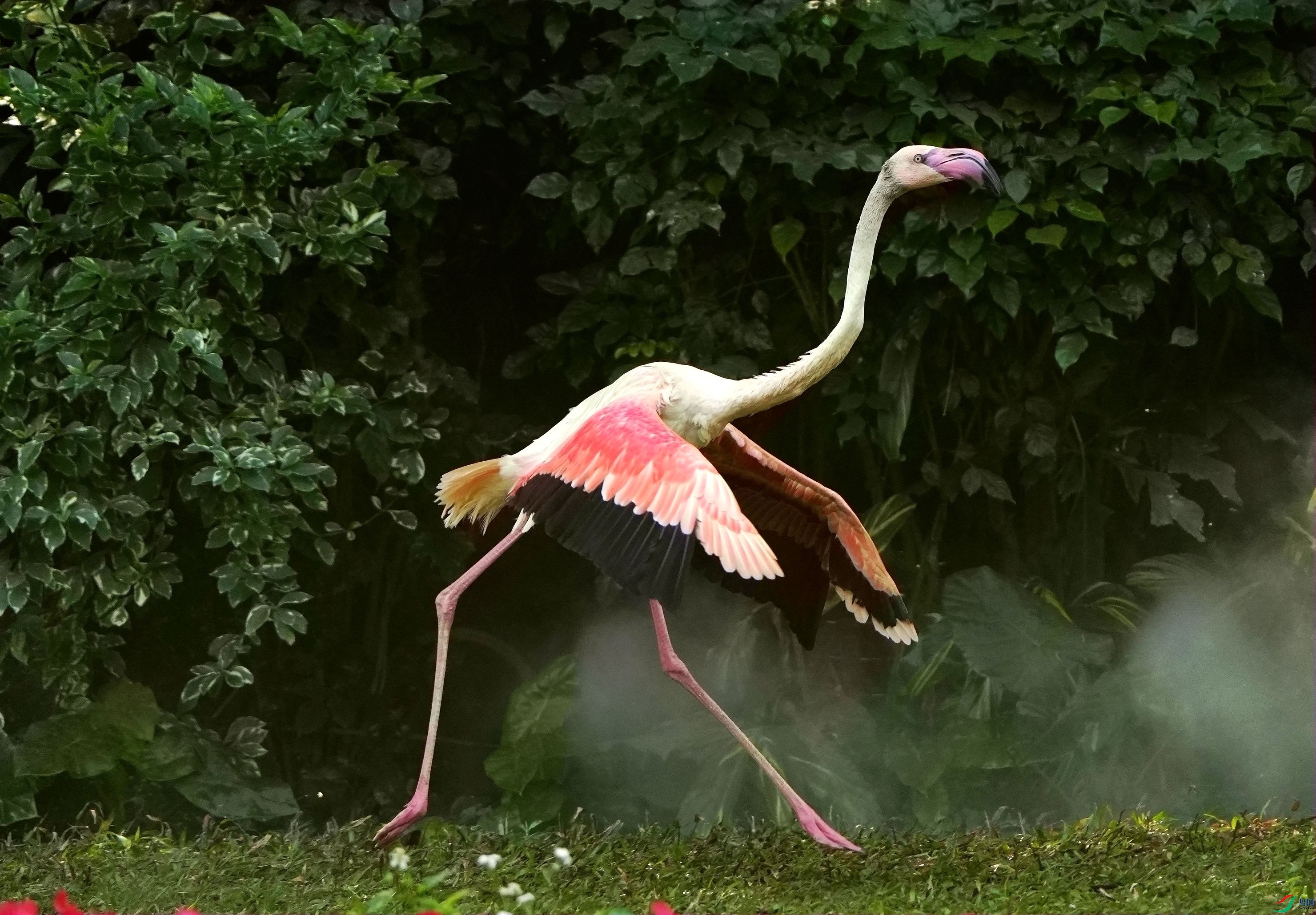 �������DSC09603_����.jpg