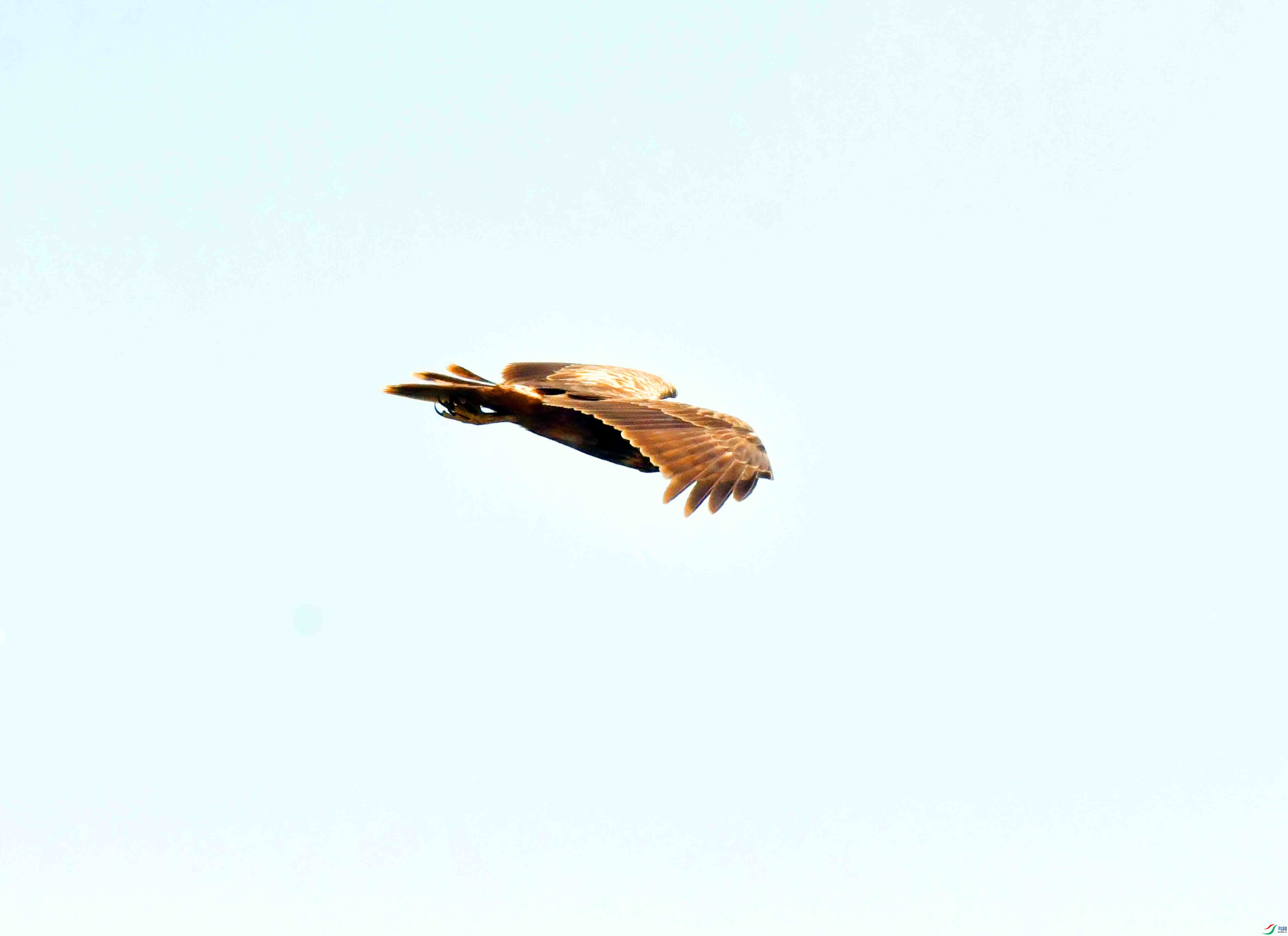 DSC_0006.JPG
