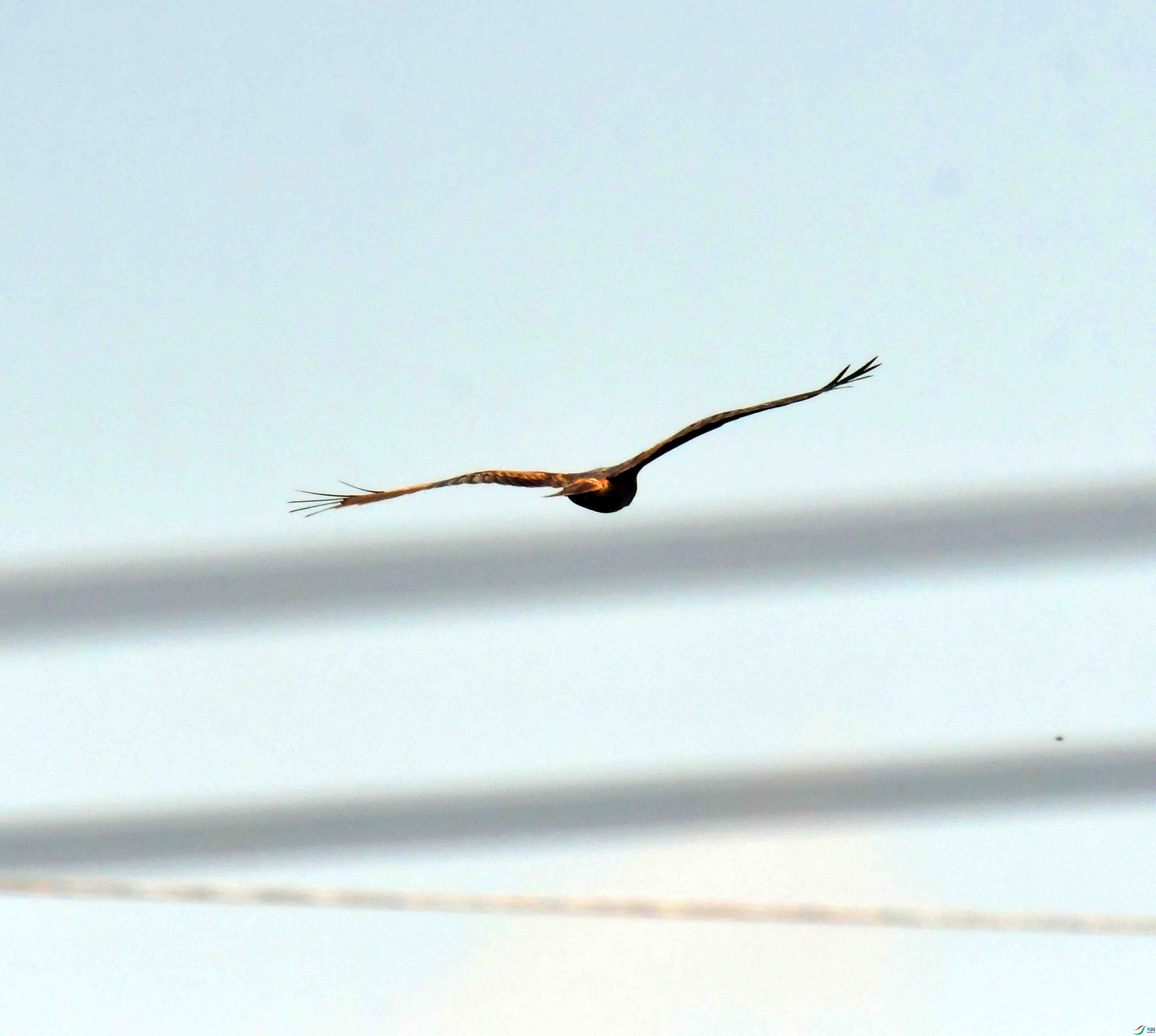 DSC_0397.JPG
