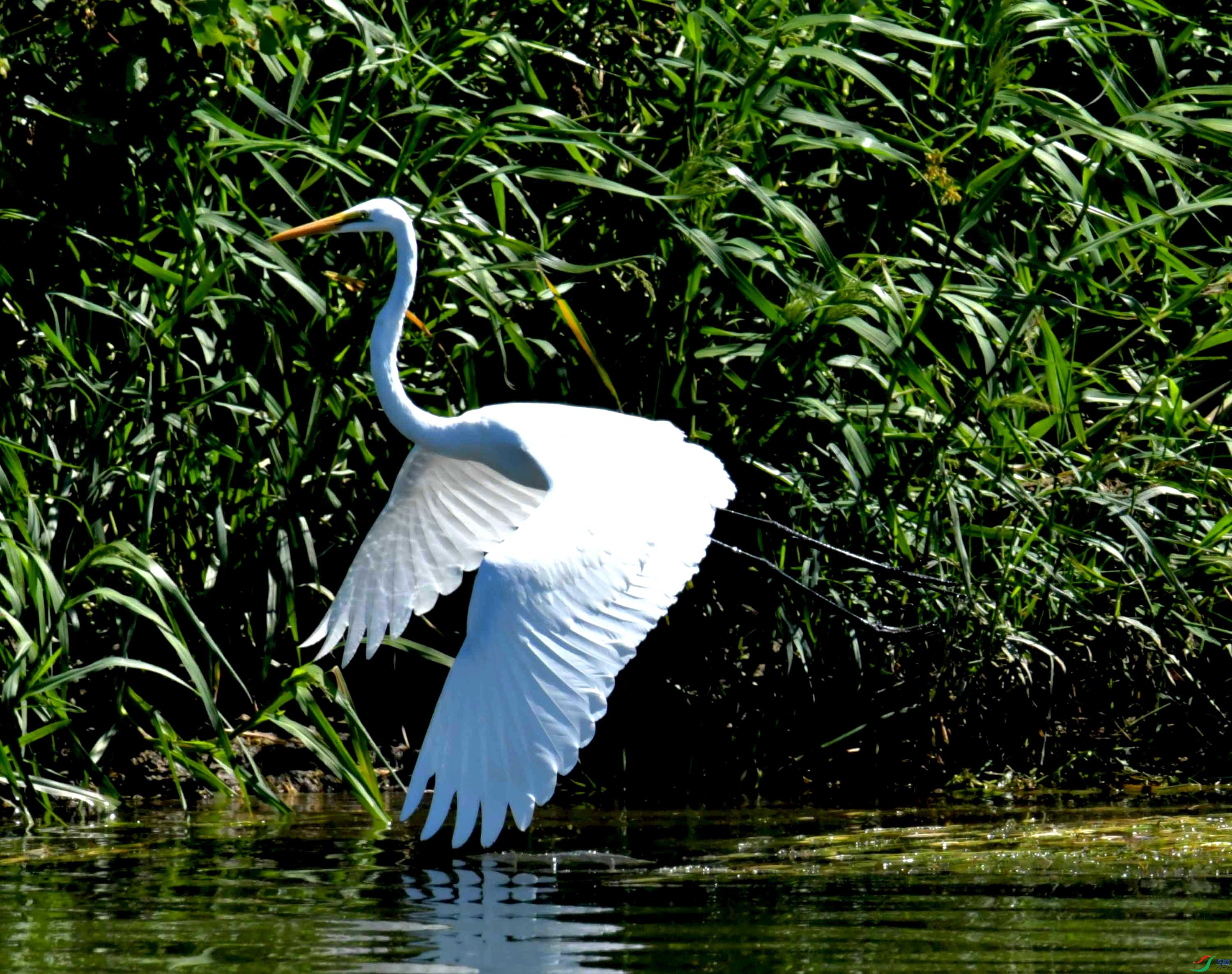 DSC_4689.JPG