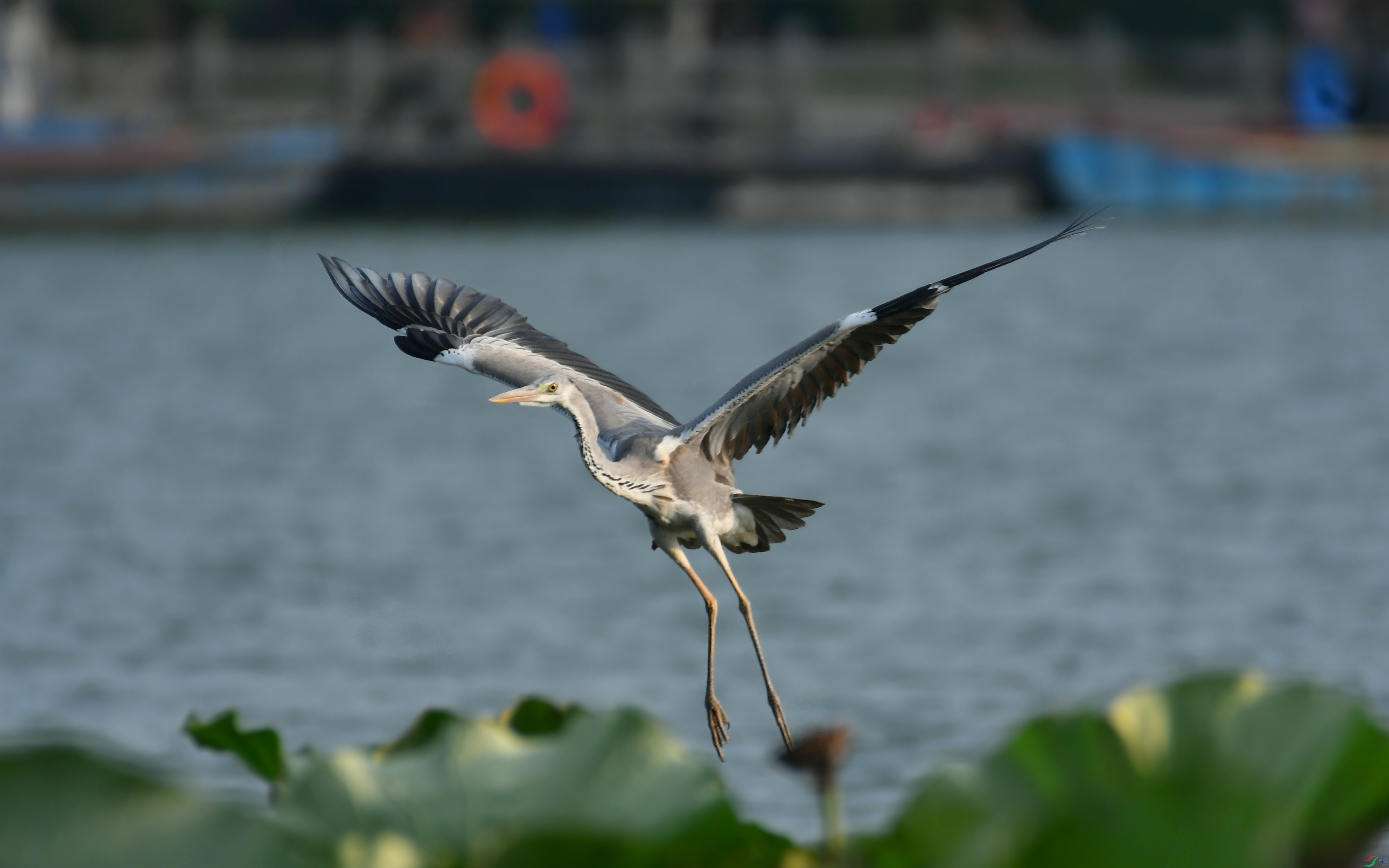DSC_2763.JPG