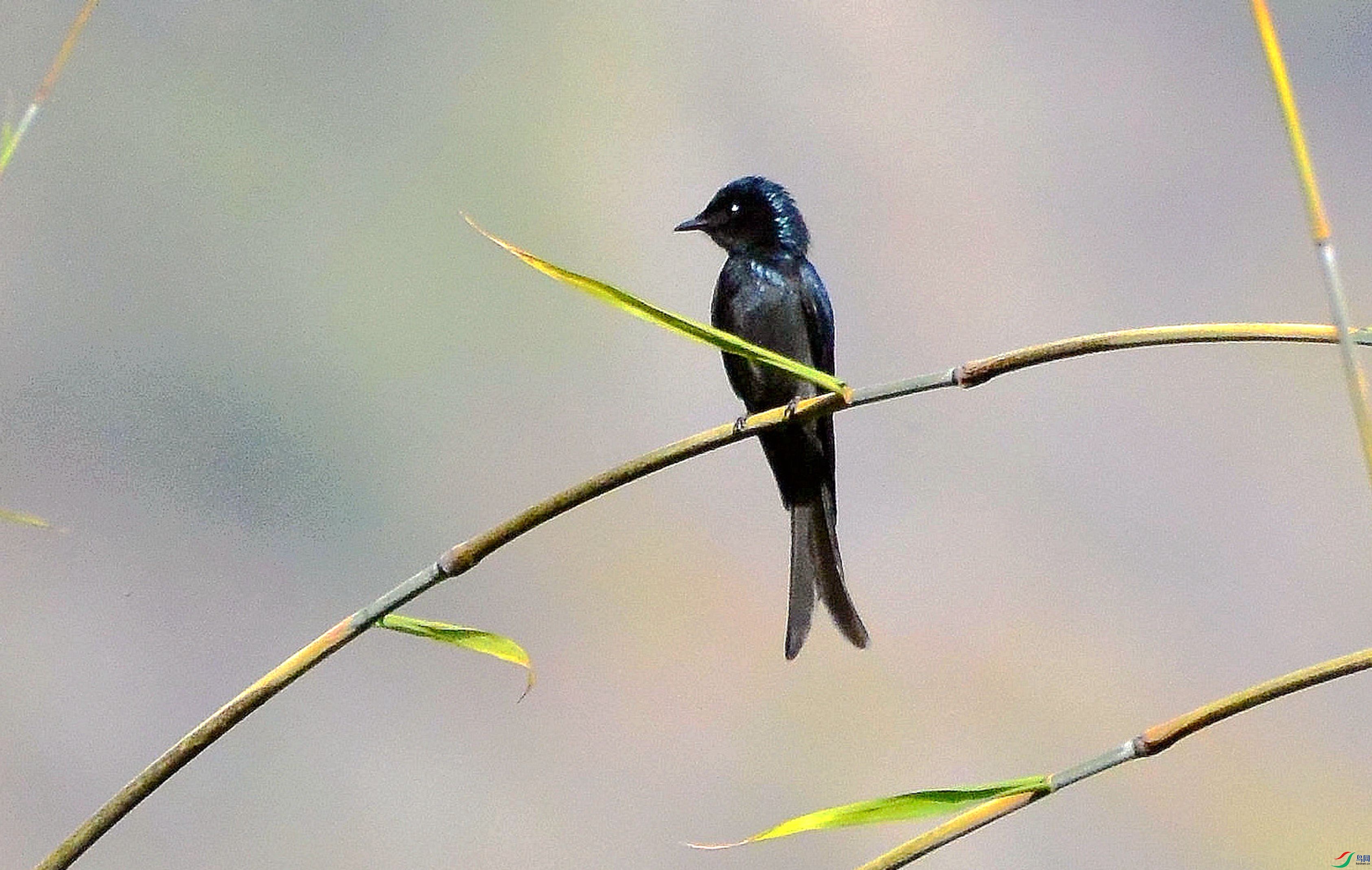 DSC_8614.JPG