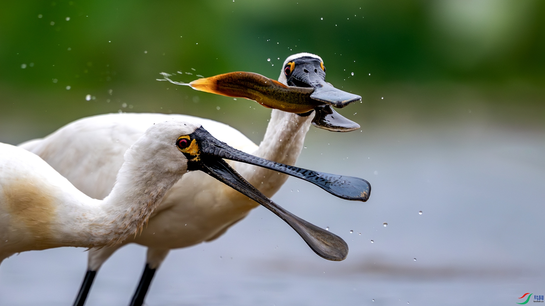 �����Դ�