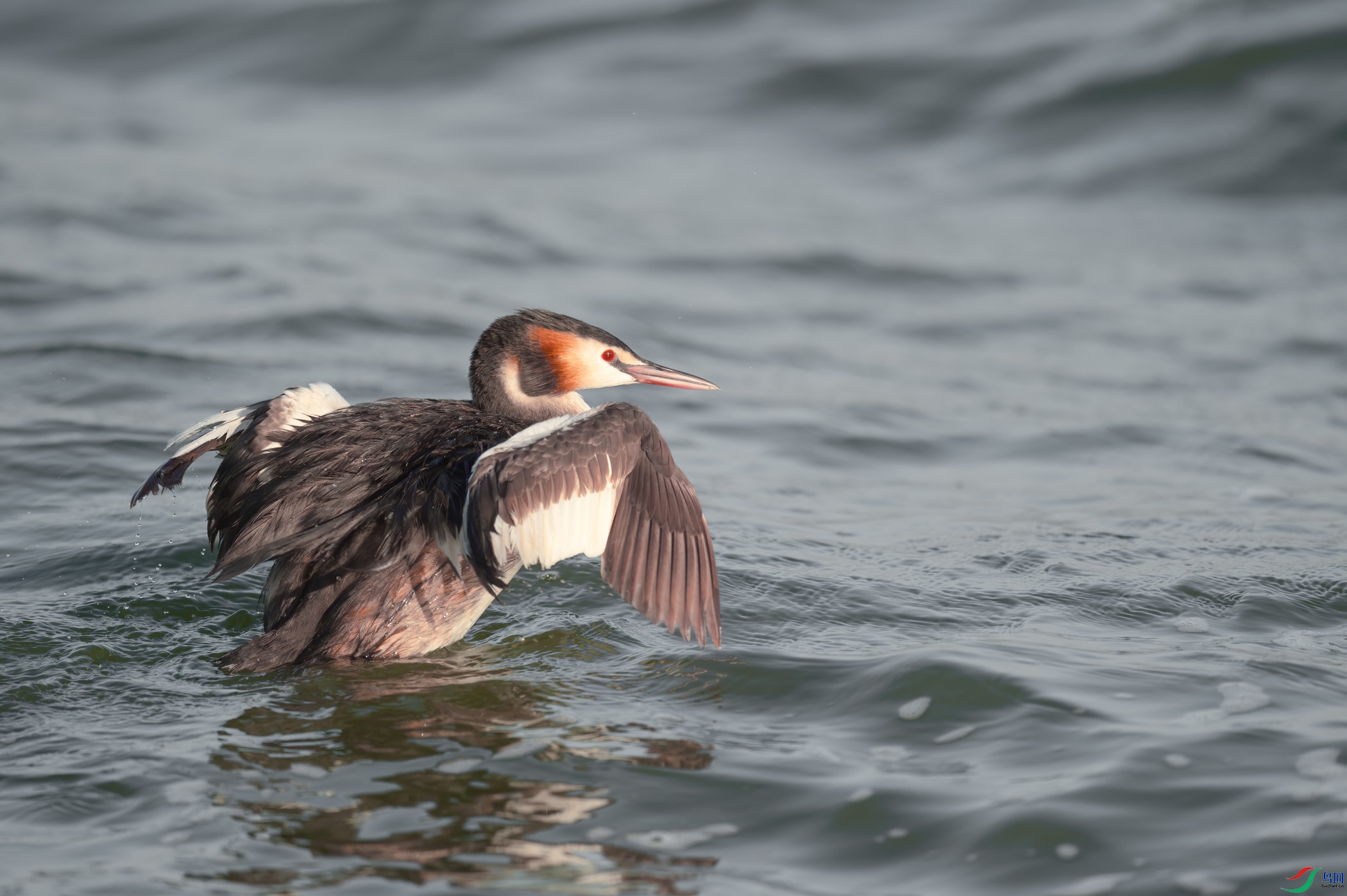 sen2016 9-19-9-�༭.jpg