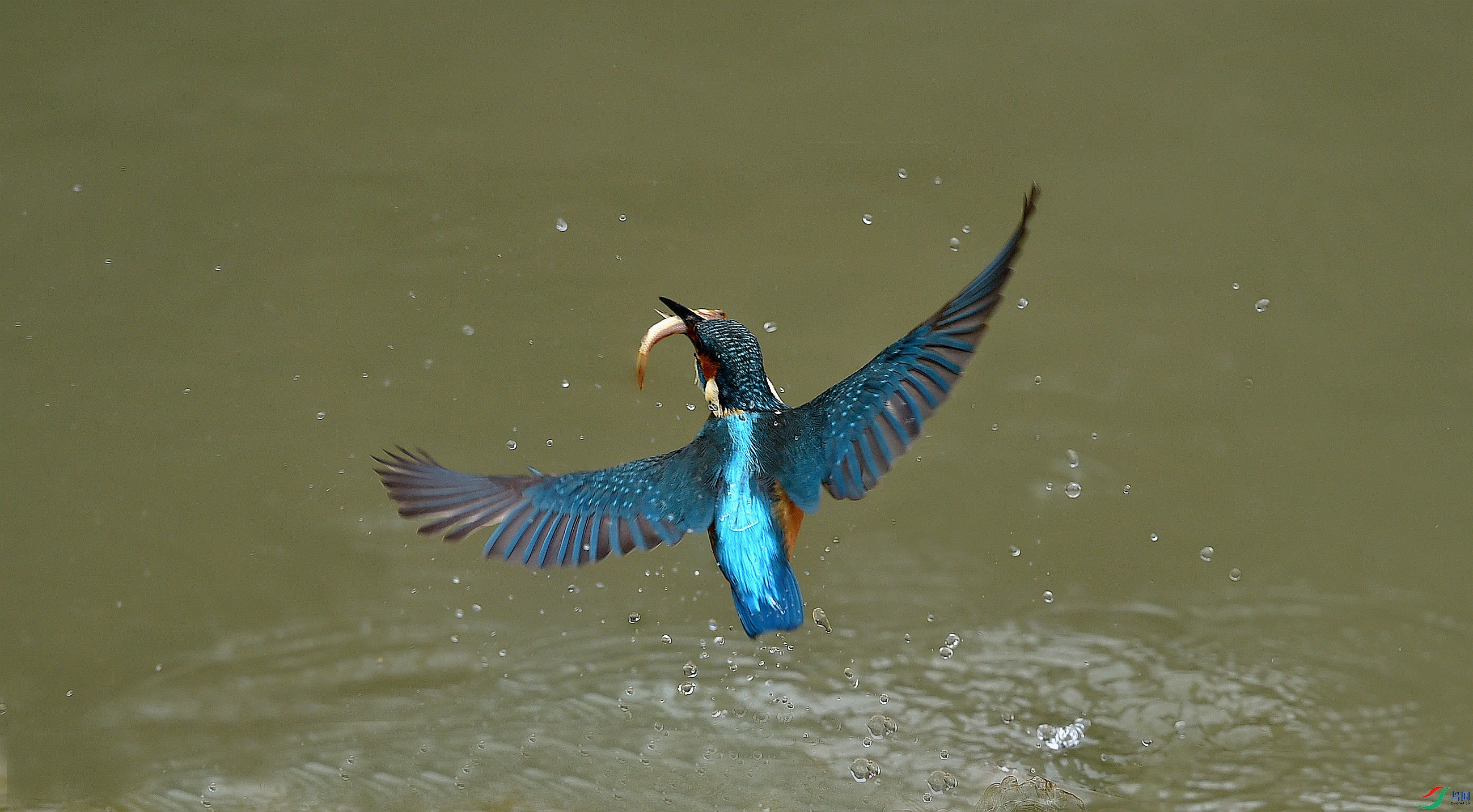 DSC_7452.jpg