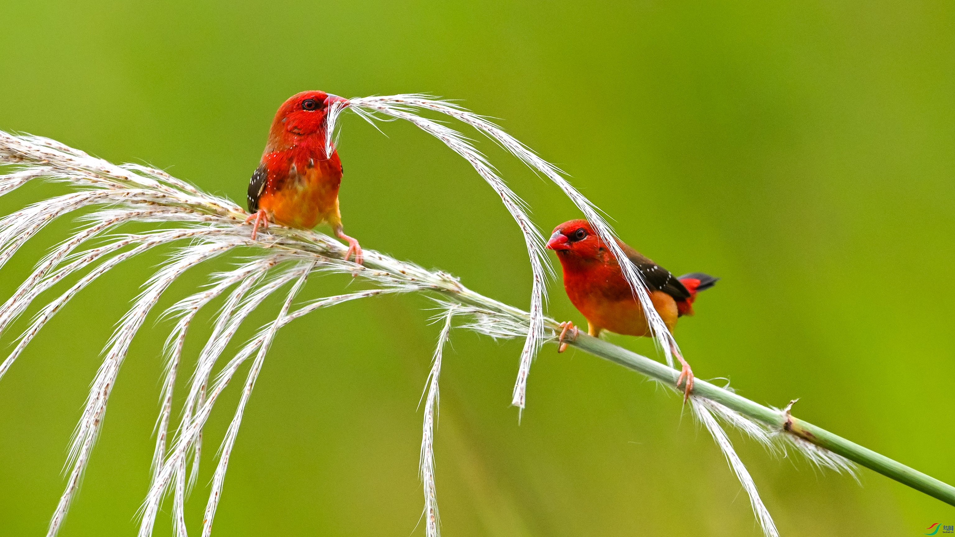 1477 ����.jpg