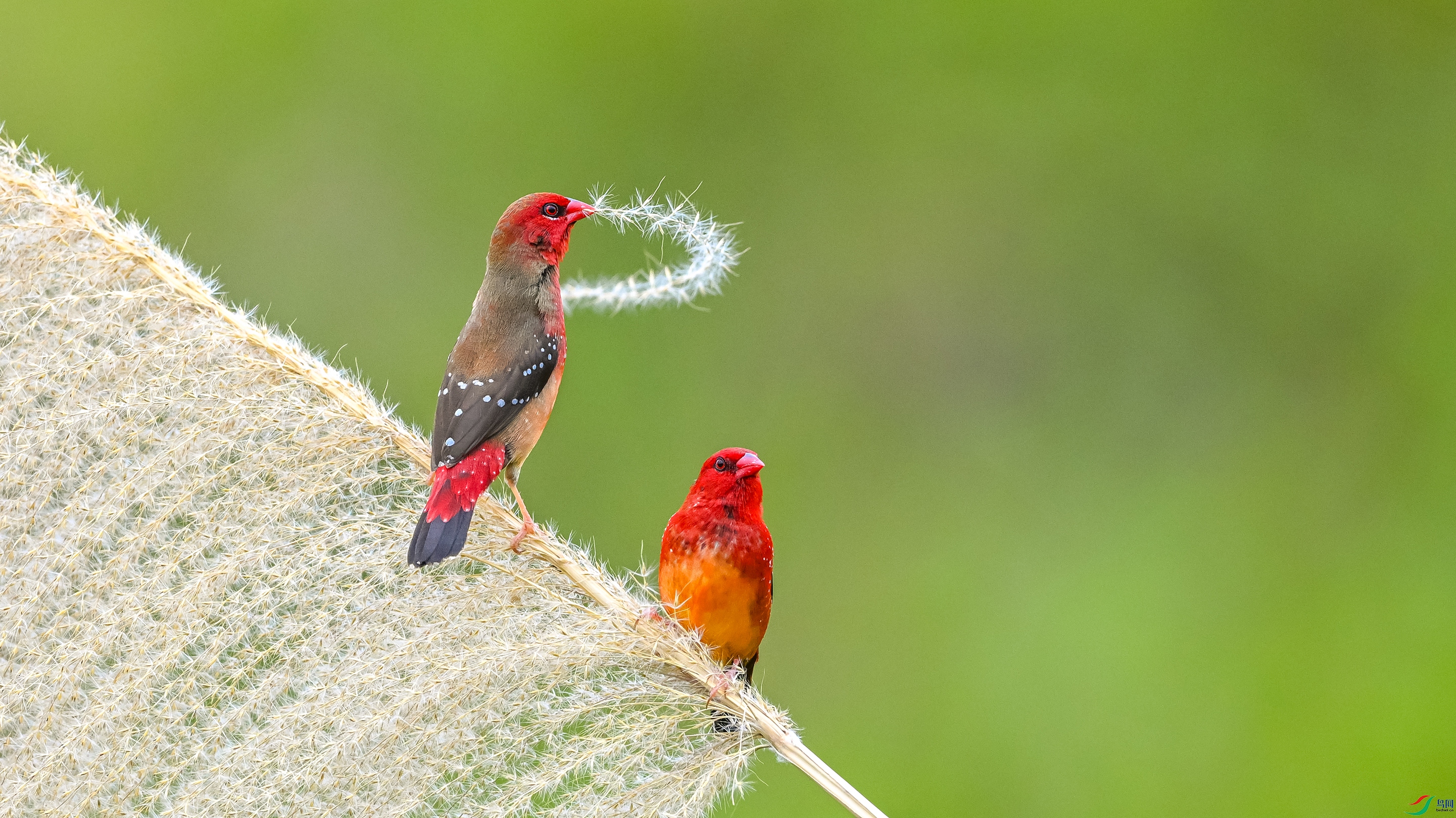 3373 ���� 2.jpg