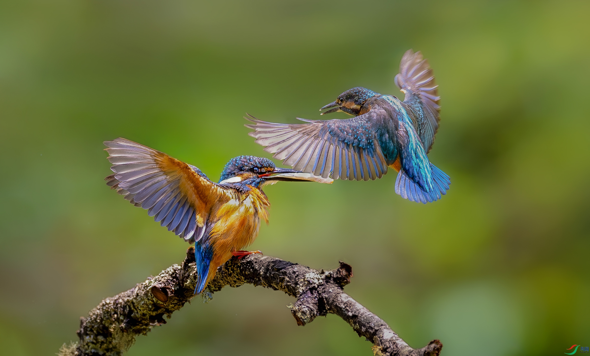 _YH_6472-����ǿ-NR-11.jpg